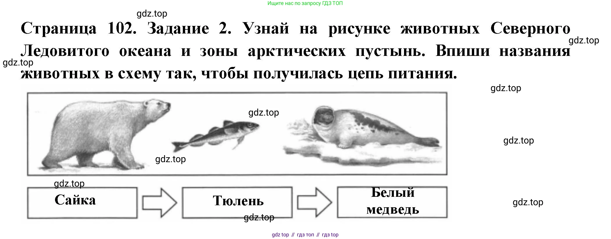 ГДЗ Окружающий мир, 4 класс Проверочные работы, авторы: Плешаков Андрей Анатольевич, Крючкова Елена Алексеевна, Плешаков С А, издательство Просвещение, Москва, 2023, белого цвета, страница 102, номер 2, Решение
