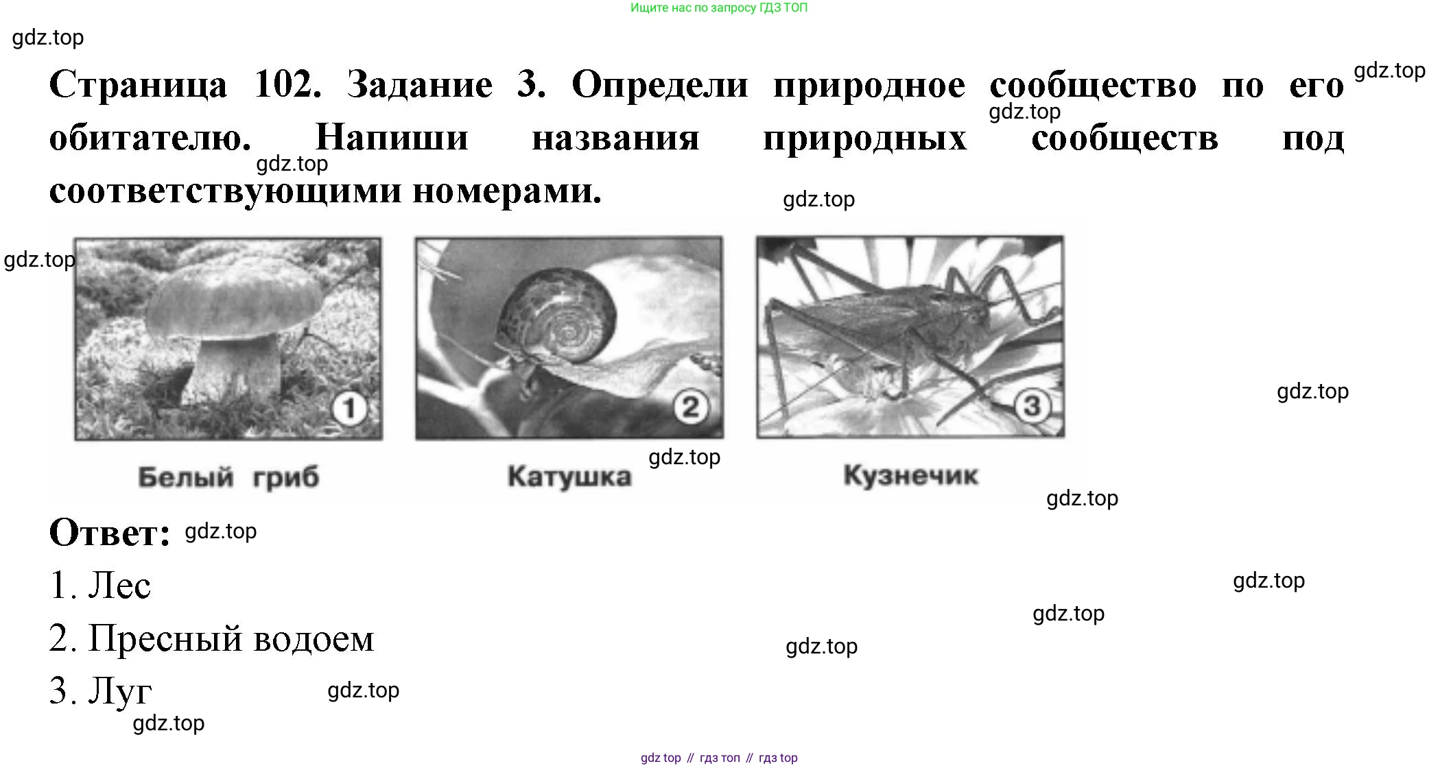 ГДЗ Окружающий мир, 4 класс Проверочные работы, авторы: Плешаков Андрей Анатольевич, Крючкова Елена Алексеевна, Плешаков С А, издательство Просвещение, Москва, 2023, белого цвета, страница 102, номер 3, Решение