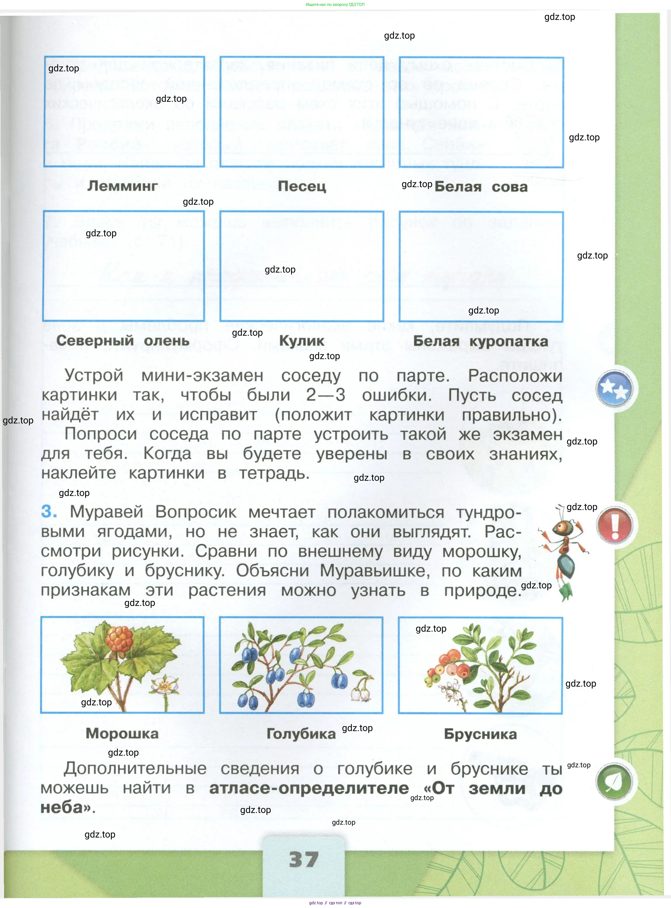 Окружающий мир, 4 класс рабочая тетрадь, авторы: Плешаков Андрей Анатольевич, Крючкова Елена Алексеевна, издательство Просвещение, Москва, 2023, белого цвета, Часть 1, страница 37