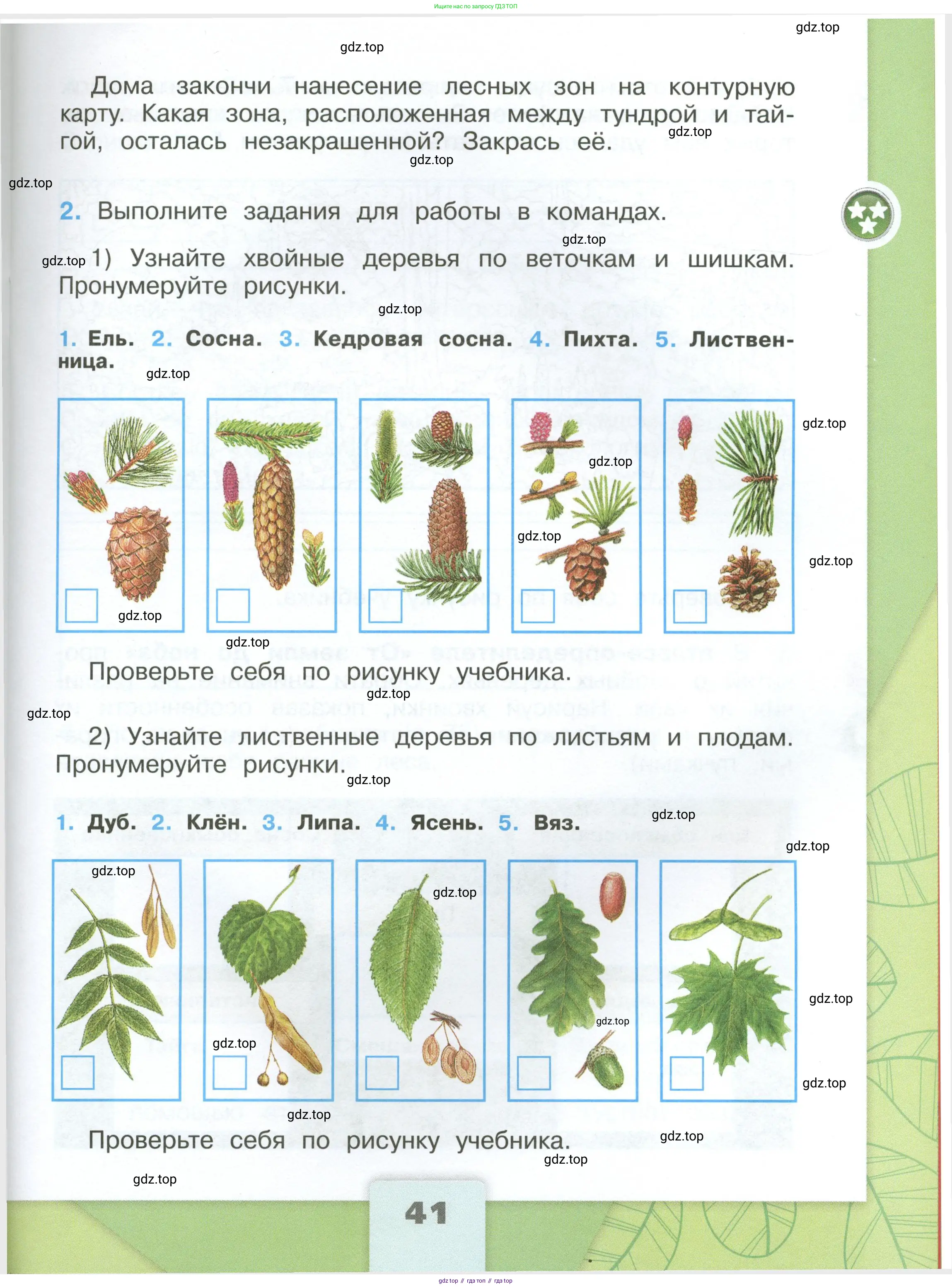 Окружающий мир, 4 класс рабочая тетрадь, авторы: Плешаков Андрей Анатольевич, Крючкова Елена Алексеевна, издательство Просвещение, Москва, 2023, белого цвета, Часть 1, страница 41