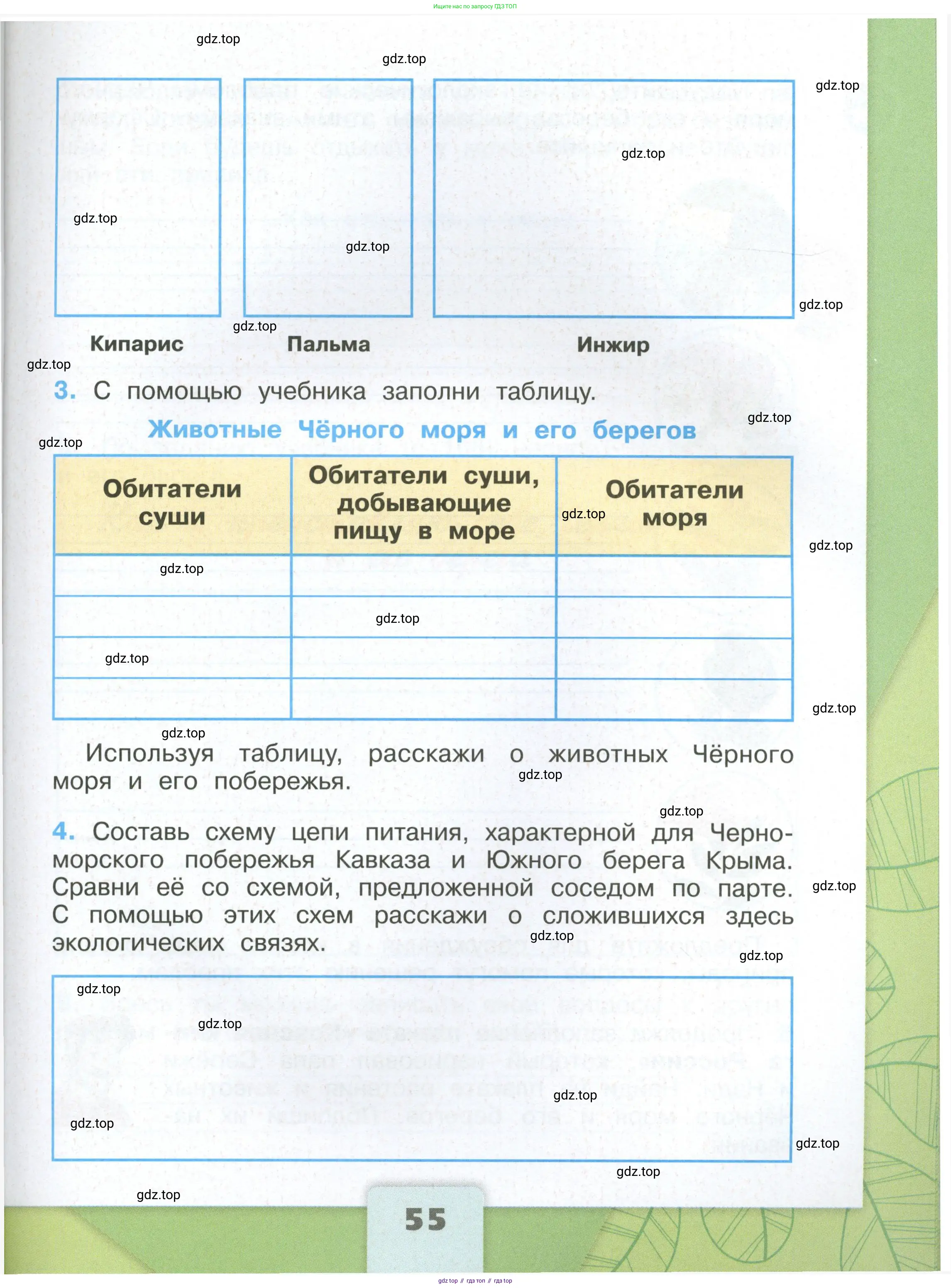 Окружающий мир, 4 класс рабочая тетрадь, авторы: Плешаков Андрей Анатольевич, Крючкова Елена Алексеевна, издательство Просвещение, Москва, 2023, белого цвета, Часть 1, страница 55