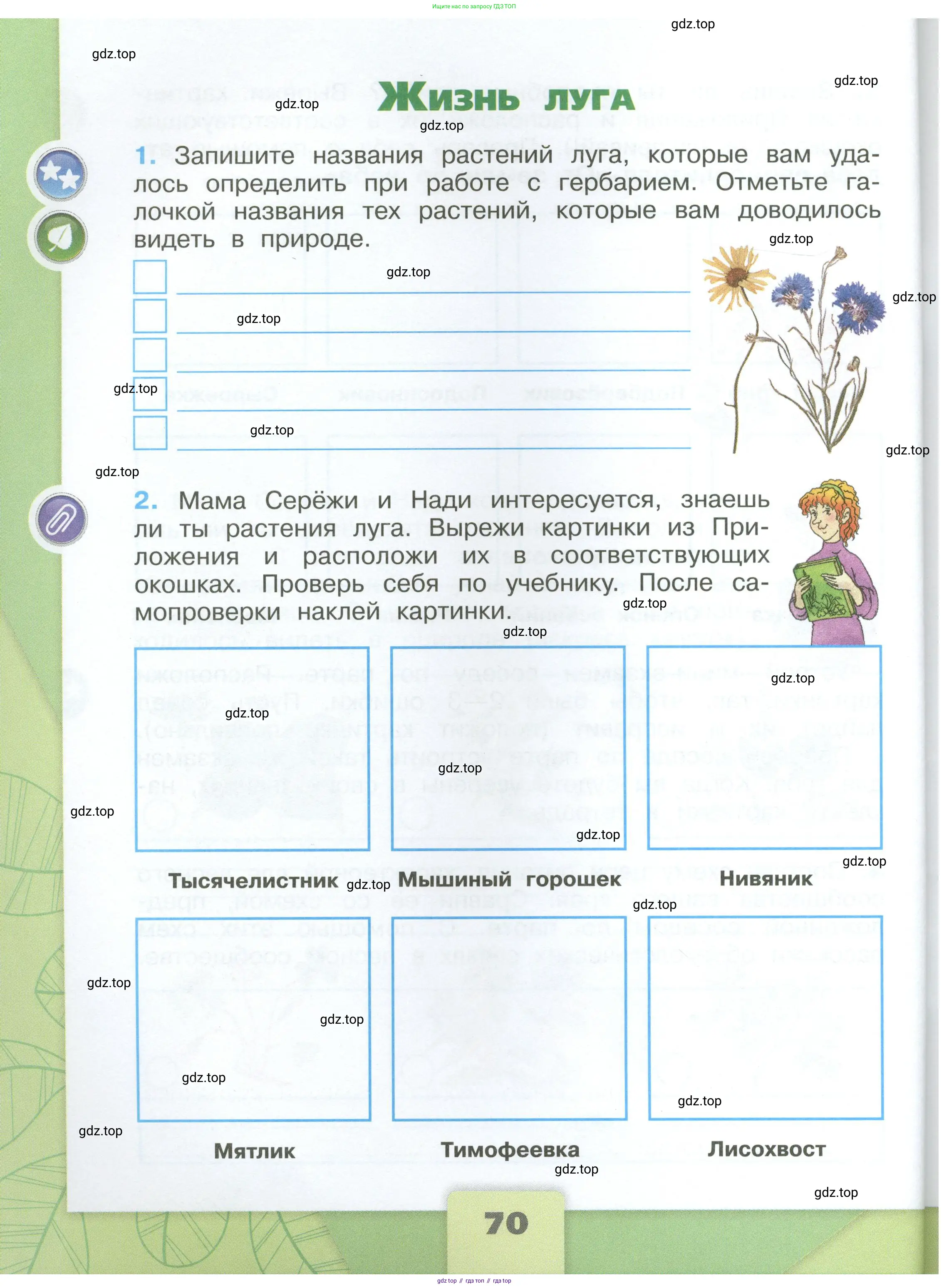 Окружающий мир, 4 класс рабочая тетрадь, авторы: Плешаков Андрей Анатольевич, Крючкова Елена Алексеевна, издательство Просвещение, Москва, 2023, белого цвета, Часть 1, страница 70