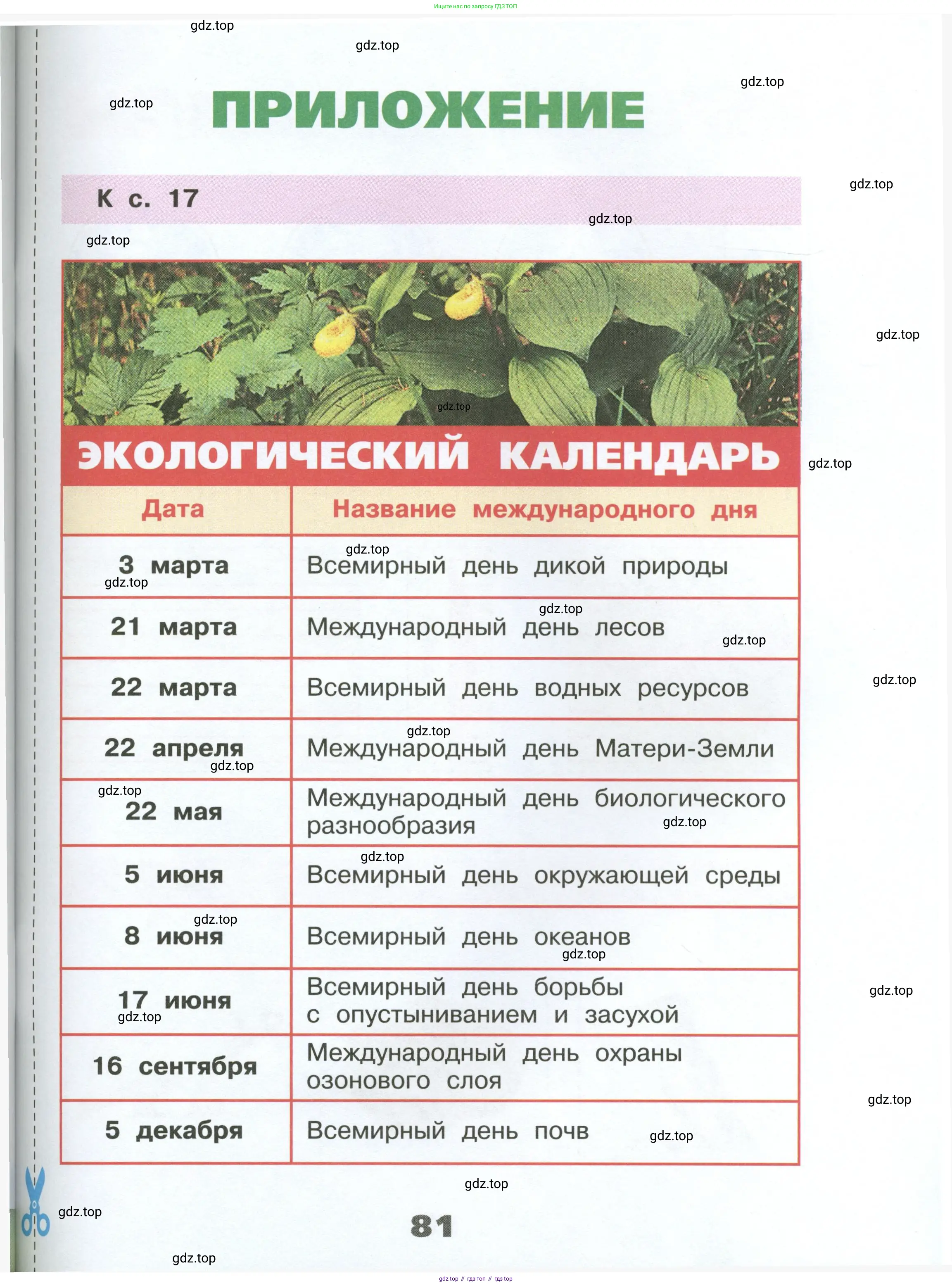 Окружающий мир, 4 класс рабочая тетрадь, авторы: Плешаков Андрей Анатольевич, Крючкова Елена Алексеевна, издательство Просвещение, Москва, 2023, белого цвета, страница 81