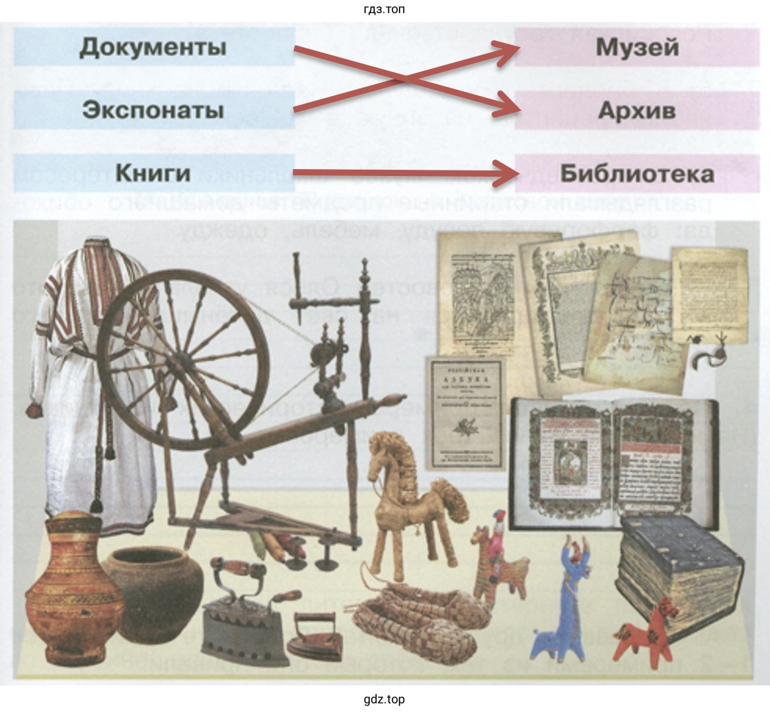 Документы Экспонаты Книги Музей Архив Библиотека