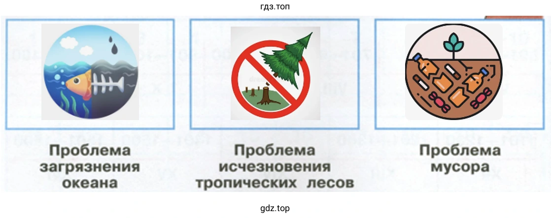 Проблема загрязнения океана Проблема исчезновения тропических лесов Проблема мусора
