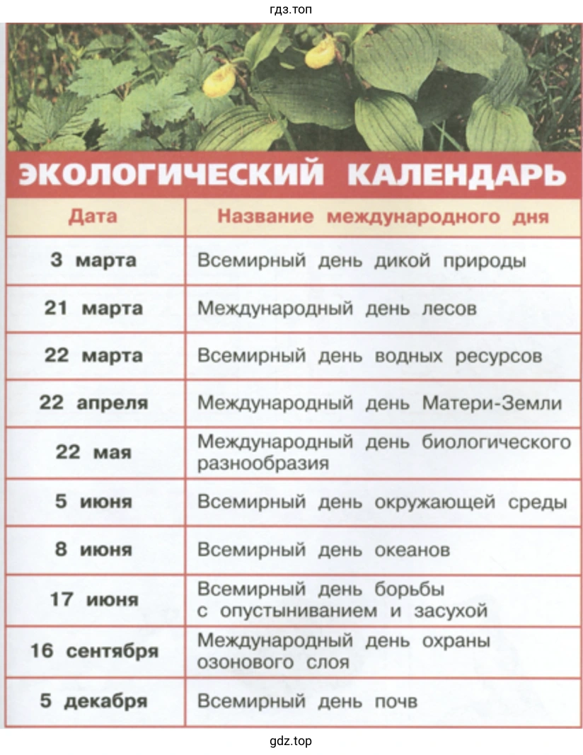 Экологический календарь