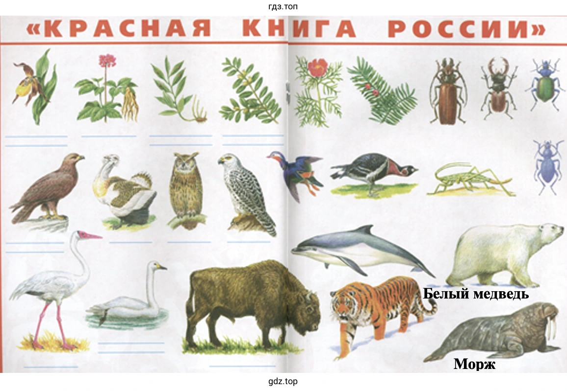 Красная книга России