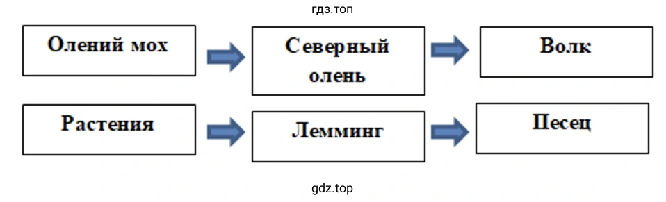 Цепи питания