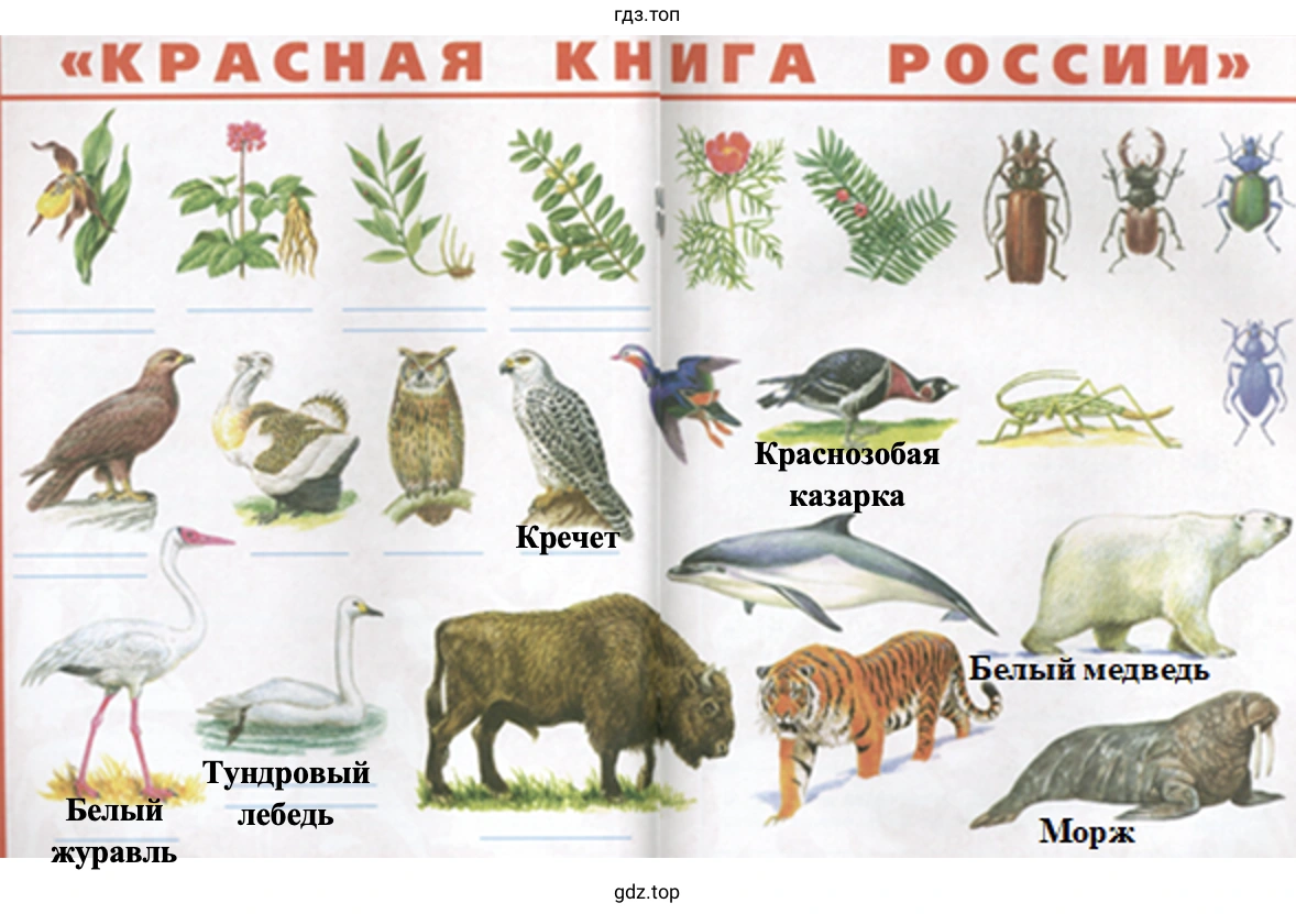 Красная книга России (2)