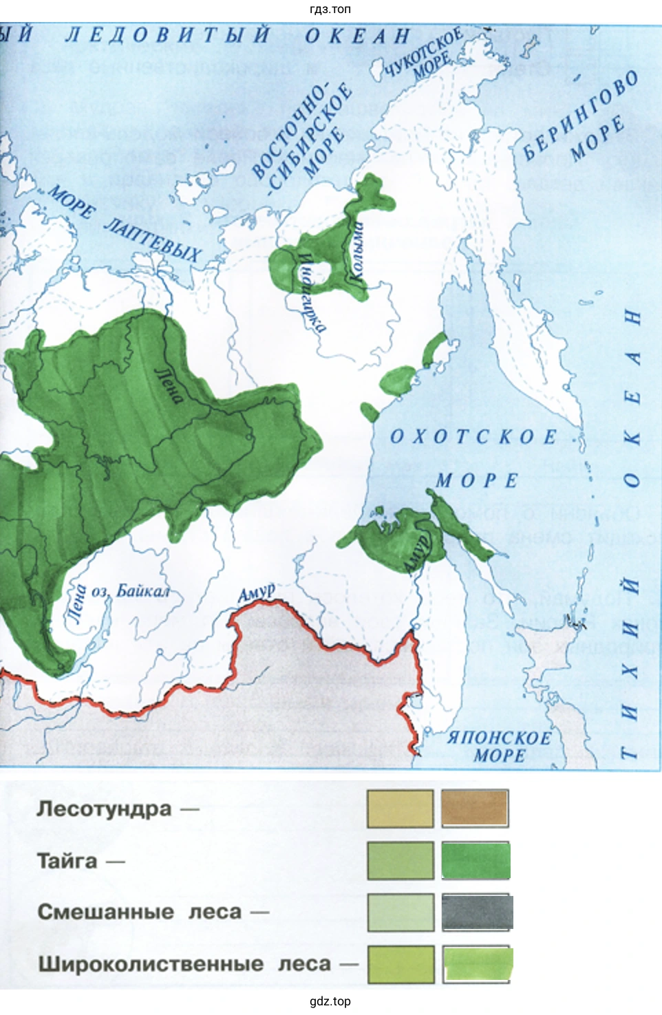 лесные зоны (2)