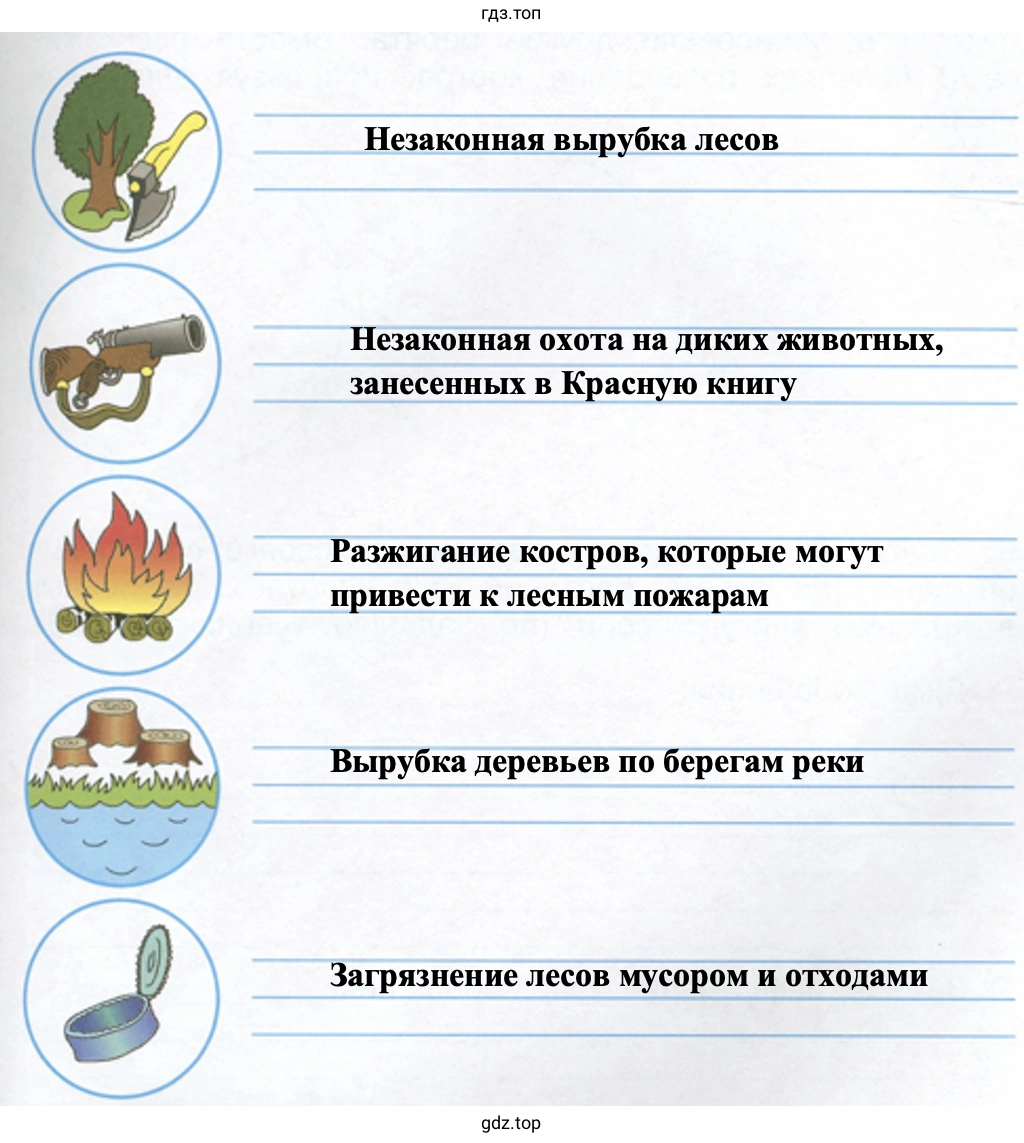 экологические проблемы лесных зон