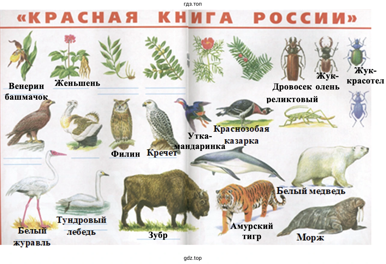 Красная книга России (3)