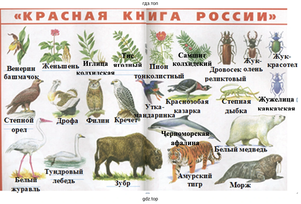 Красная книга России