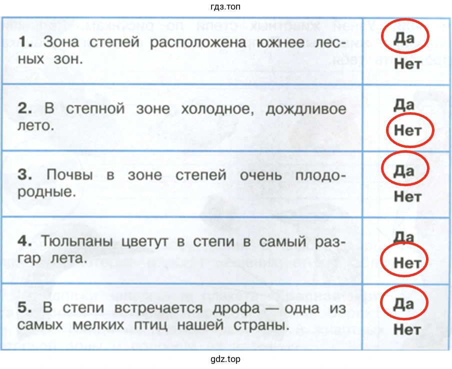 Обведи «Да» или «Нет».