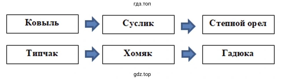Цепи питания в степи