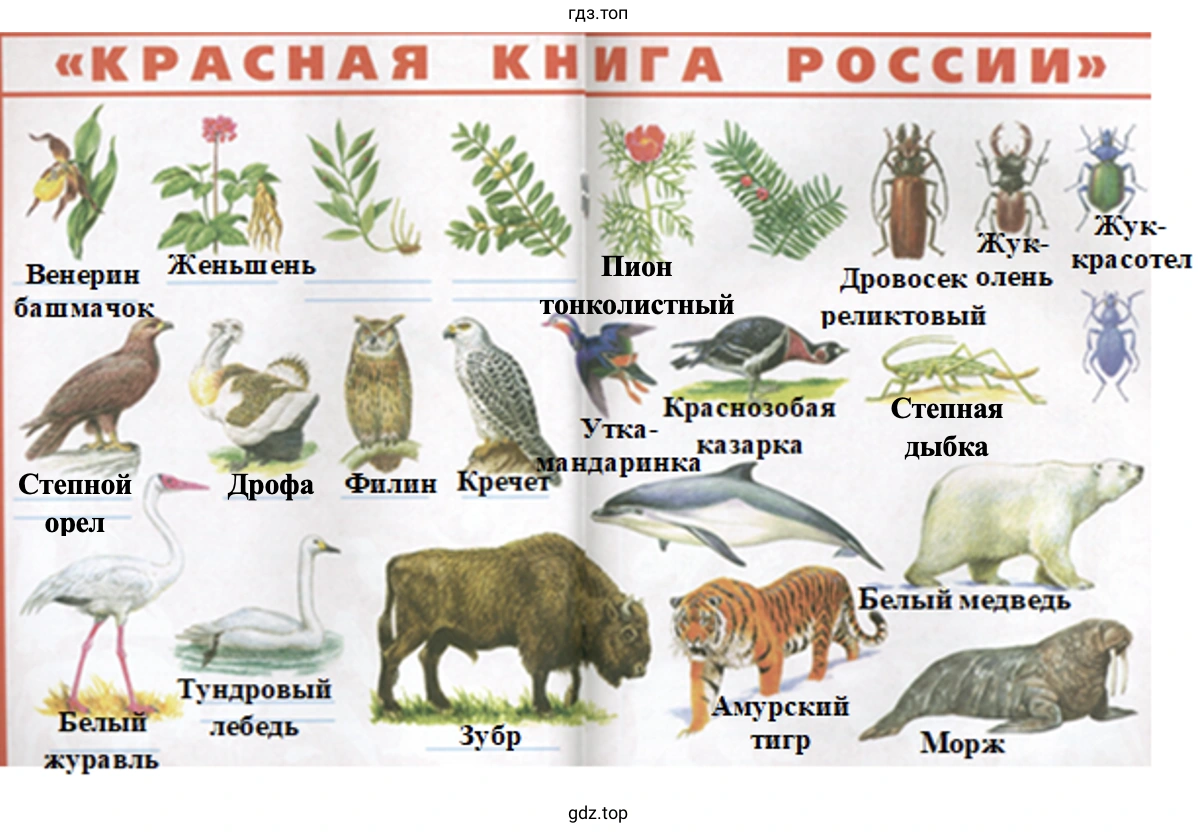 Продолжи заполнение плаката