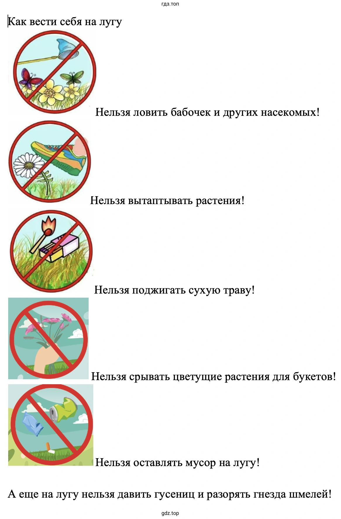 Как вести себя на лугу