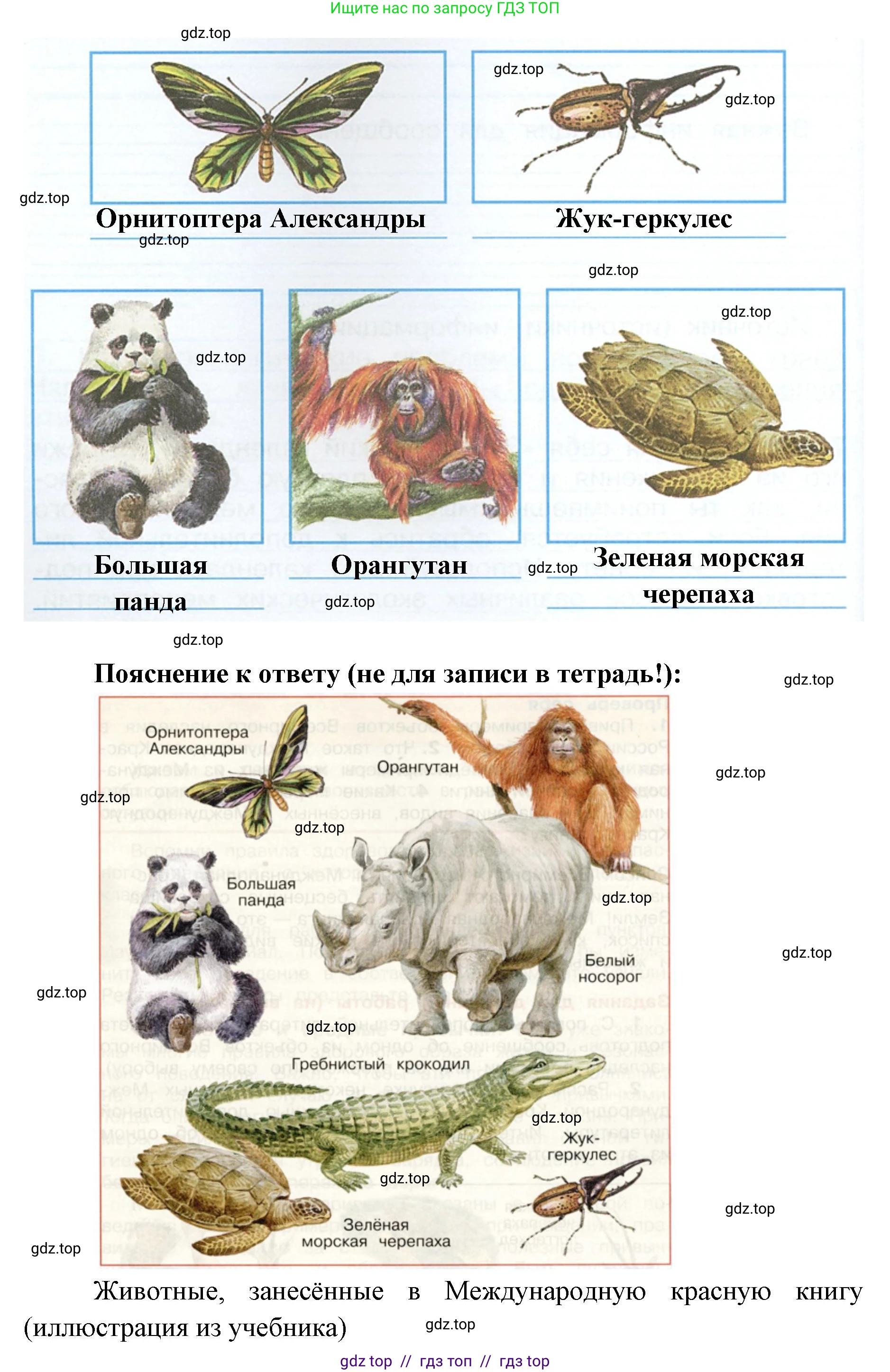 Окружающий мир, 4 класс рабочая тетрадь, авторы: Плешаков Андрей Анатольевич, Крючкова Елена Алексеевна, издательство Просвещение, Москва, 2023, белого цвета, Часть 1, страница 18, номер 3, Решение 2 (продолжение 2)
