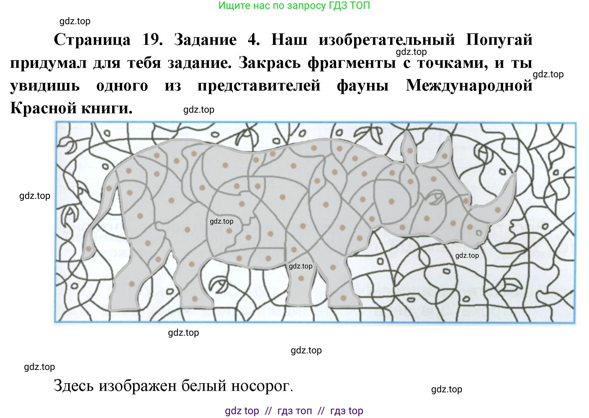 Окружающий мир, 4 класс рабочая тетрадь, авторы: Плешаков Андрей Анатольевич, Крючкова Елена Алексеевна, издательство Просвещение, Москва, 2023, белого цвета, Часть 1, страница 19, номер 4, Решение 2