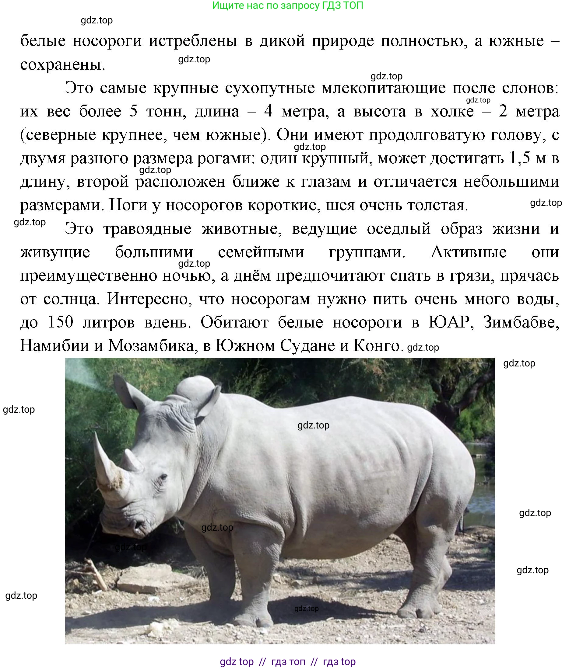 Окружающий мир, 4 класс рабочая тетрадь, авторы: Плешаков Андрей Анатольевич, Крючкова Елена Алексеевна, издательство Просвещение, Москва, 2023, белого цвета, Часть 1, страница 19, номер 5, Решение 2 (продолжение 4)