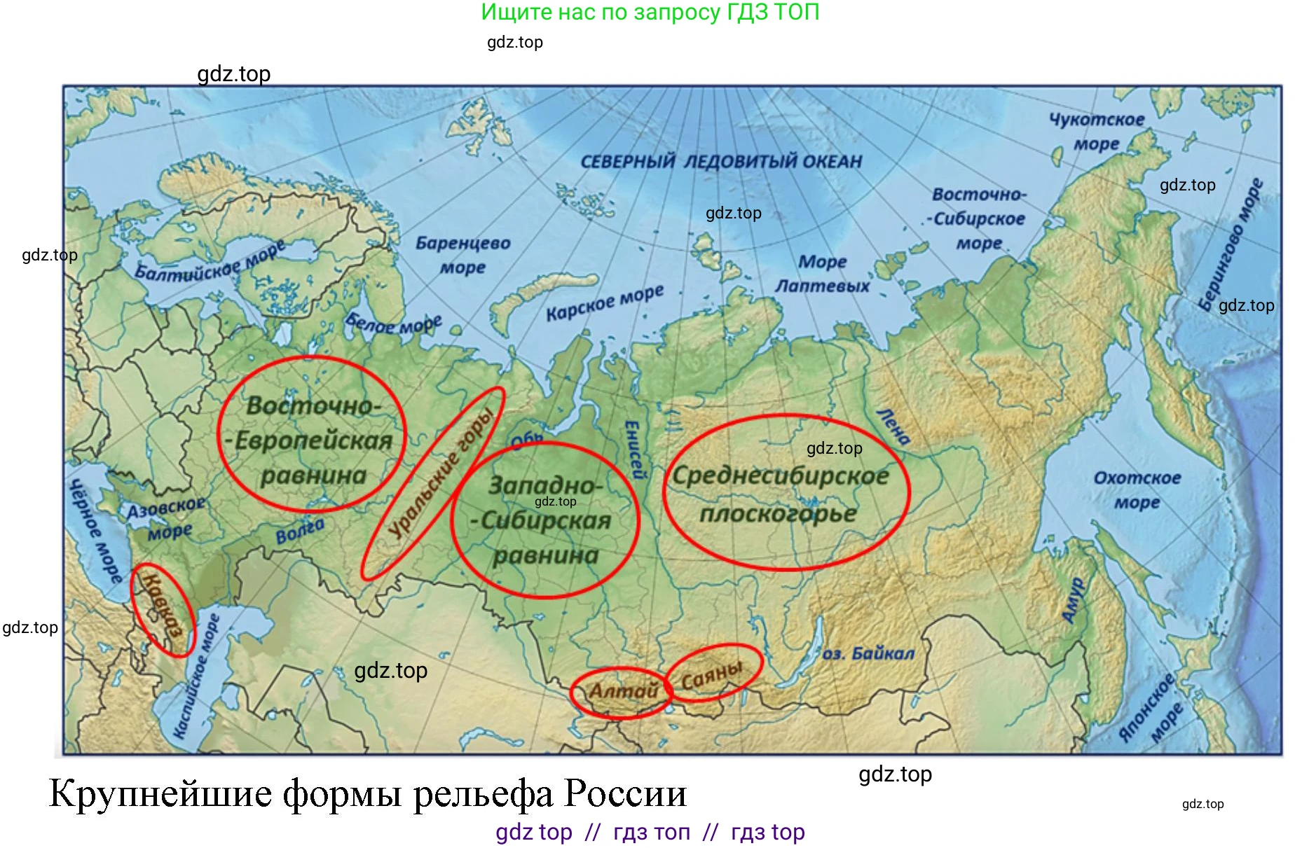Окружающий мир, 4 класс рабочая тетрадь, авторы: Плешаков Андрей Анатольевич, Крючкова Елена Алексеевна, издательство Просвещение, Москва, 2023, белого цвета, Часть 1, страница 23, номер 1, Решение 2 (продолжение 2)