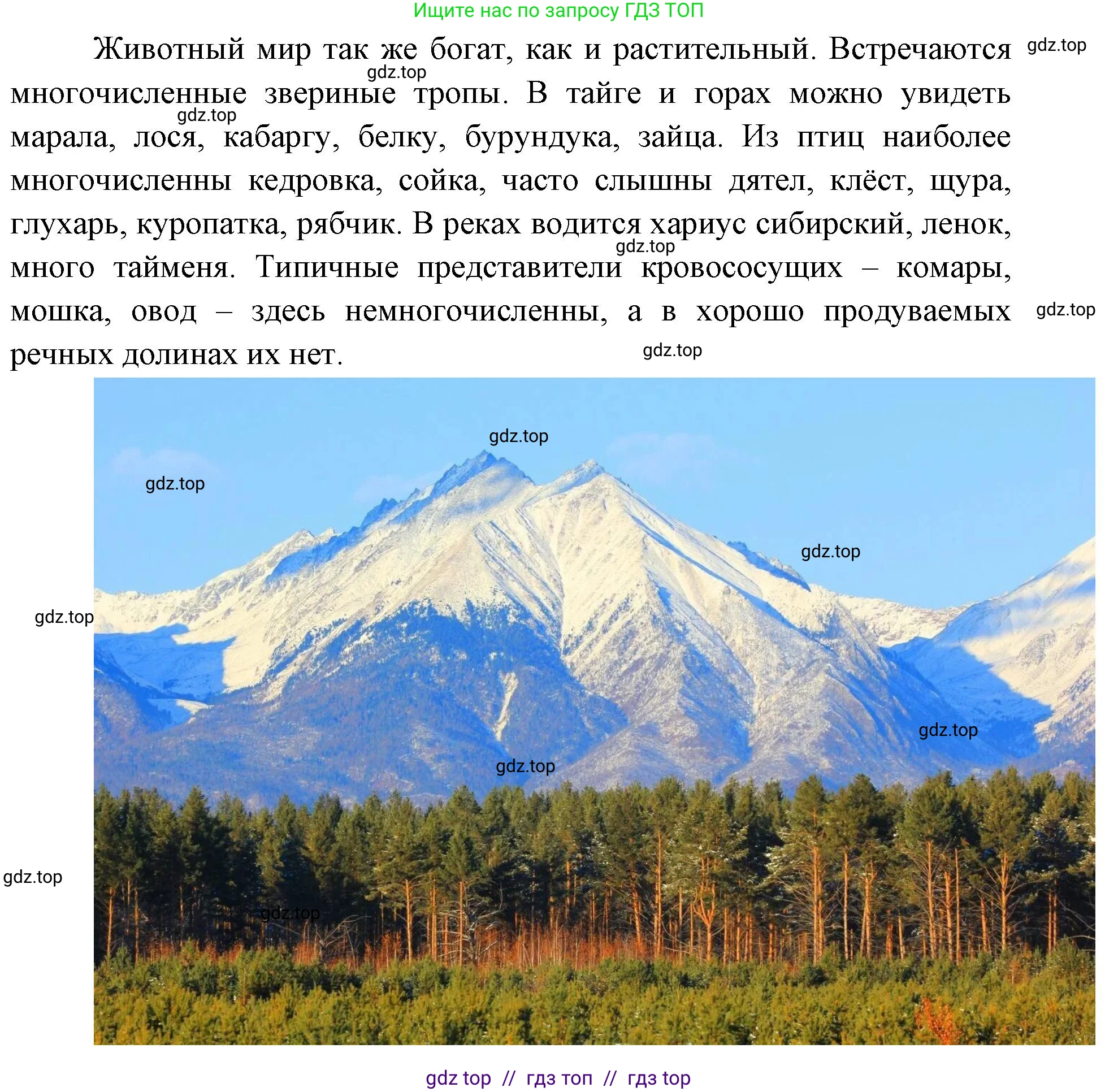 Окружающий мир, 4 класс рабочая тетрадь, авторы: Плешаков Андрей Анатольевич, Крючкова Елена Алексеевна, издательство Просвещение, Москва, 2023, белого цвета, Часть 1, страница 27, номер 5, Решение 2 (продолжение 5)