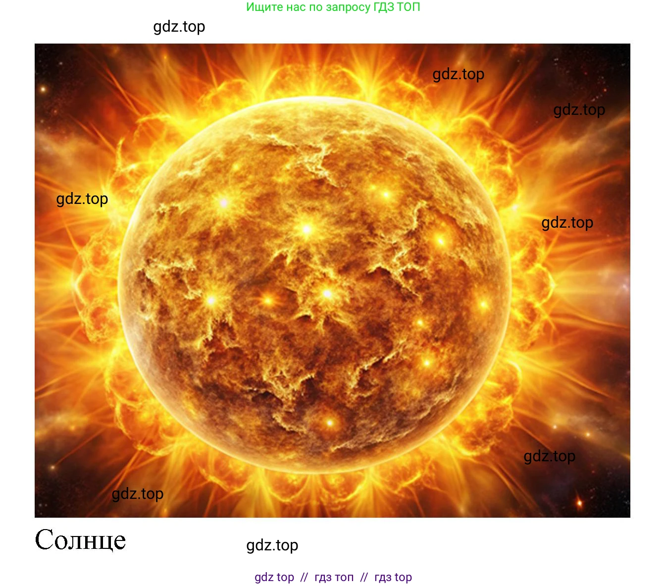 Окружающий мир, 4 класс рабочая тетрадь, авторы: Плешаков Андрей Анатольевич, Крючкова Елена Алексеевна, издательство Просвещение, Москва, 2023, белого цвета, Часть 1, страница 4, номер 6, Решение 2 (продолжение 5)