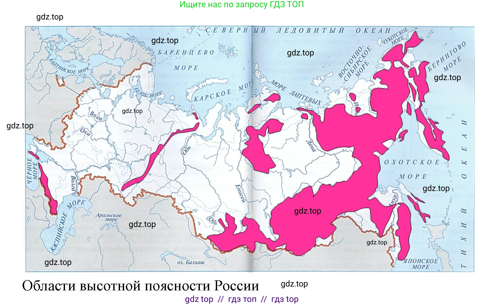 Окружающий мир, 4 класс рабочая тетрадь, авторы: Плешаков Андрей Анатольевич, Крючкова Елена Алексеевна, издательство Просвещение, Москва, 2023, белого цвета, Часть 1, страница 31, номер 2, Решение 2 (продолжение 2)