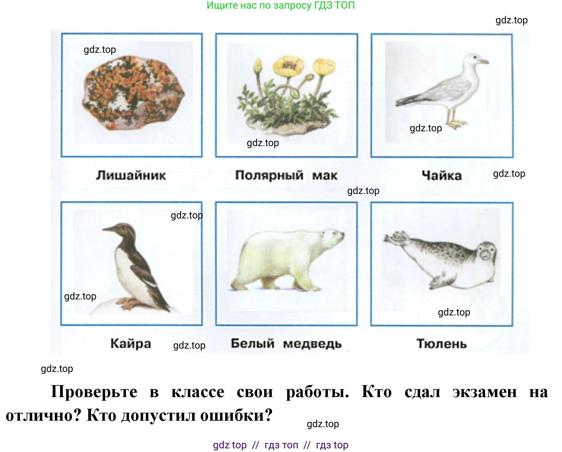 Окружающий мир, 4 класс рабочая тетрадь, авторы: Плешаков Андрей Анатольевич, Крючкова Елена Алексеевна, издательство Просвещение, Москва, 2023, белого цвета, Часть 1, страница 33, номер 2, Решение 2 (продолжение 2)