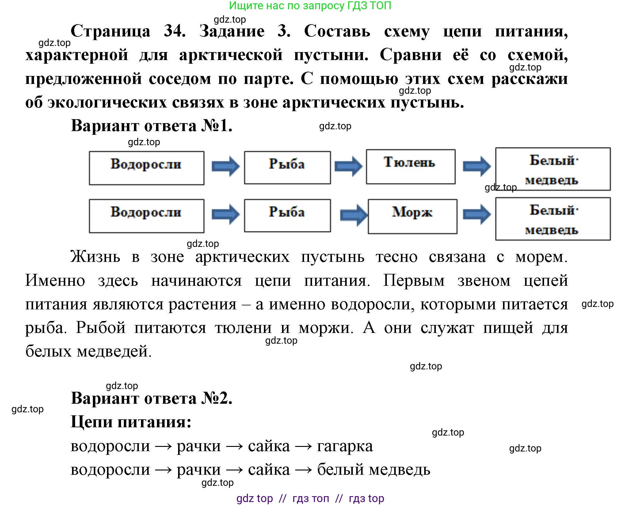Окружающий мир, 4 класс рабочая тетрадь, авторы: Плешаков Андрей Анатольевич, Крючкова Елена Алексеевна, издательство Просвещение, Москва, 2023, белого цвета, Часть 1, страница 34, номер 3, Решение 2