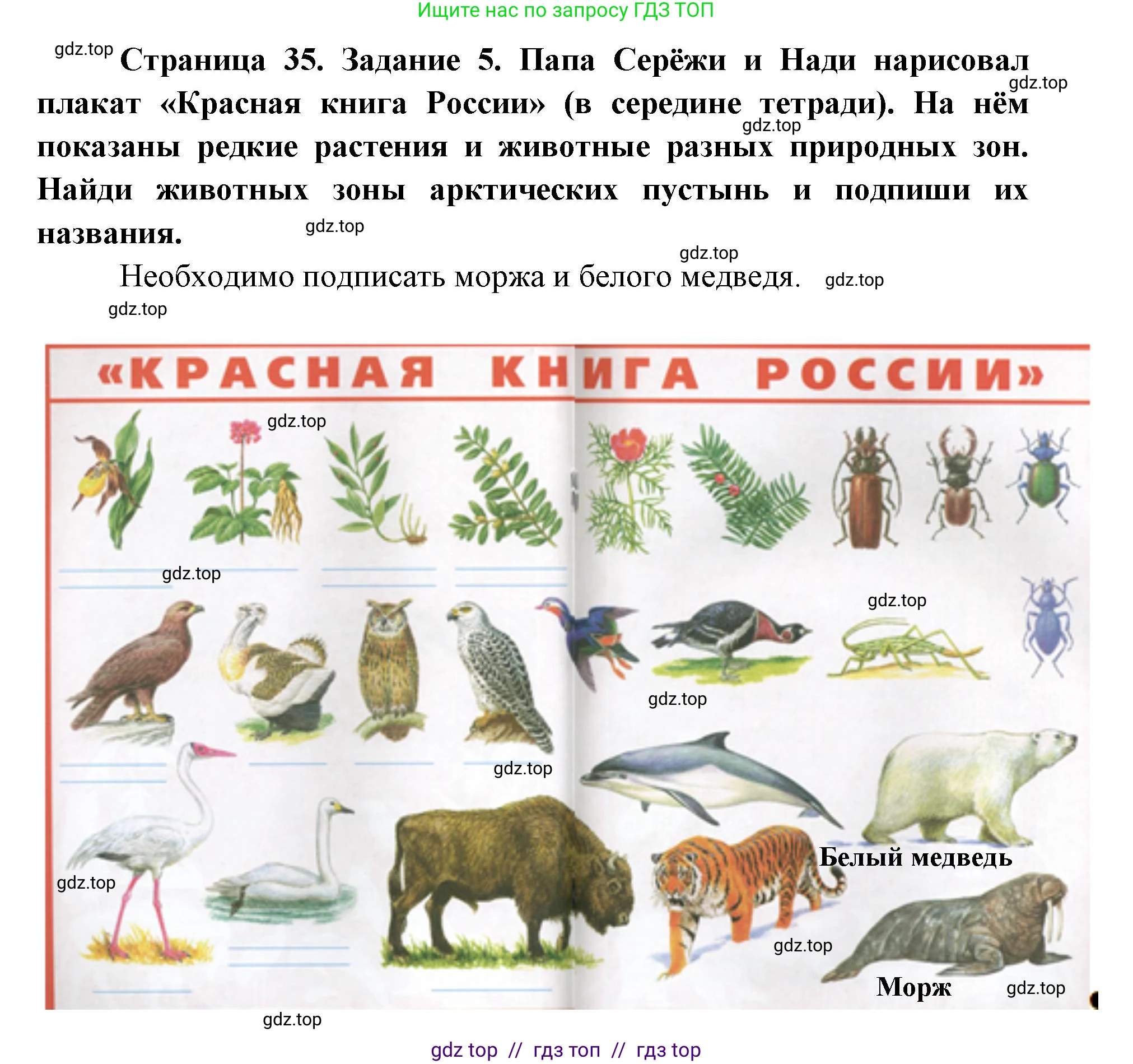 Окружающий мир, 4 класс рабочая тетрадь, авторы: Плешаков Андрей Анатольевич, Крючкова Елена Алексеевна, издательство Просвещение, Москва, 2023, белого цвета, Часть 1, страница 35, номер 5, Решение 2