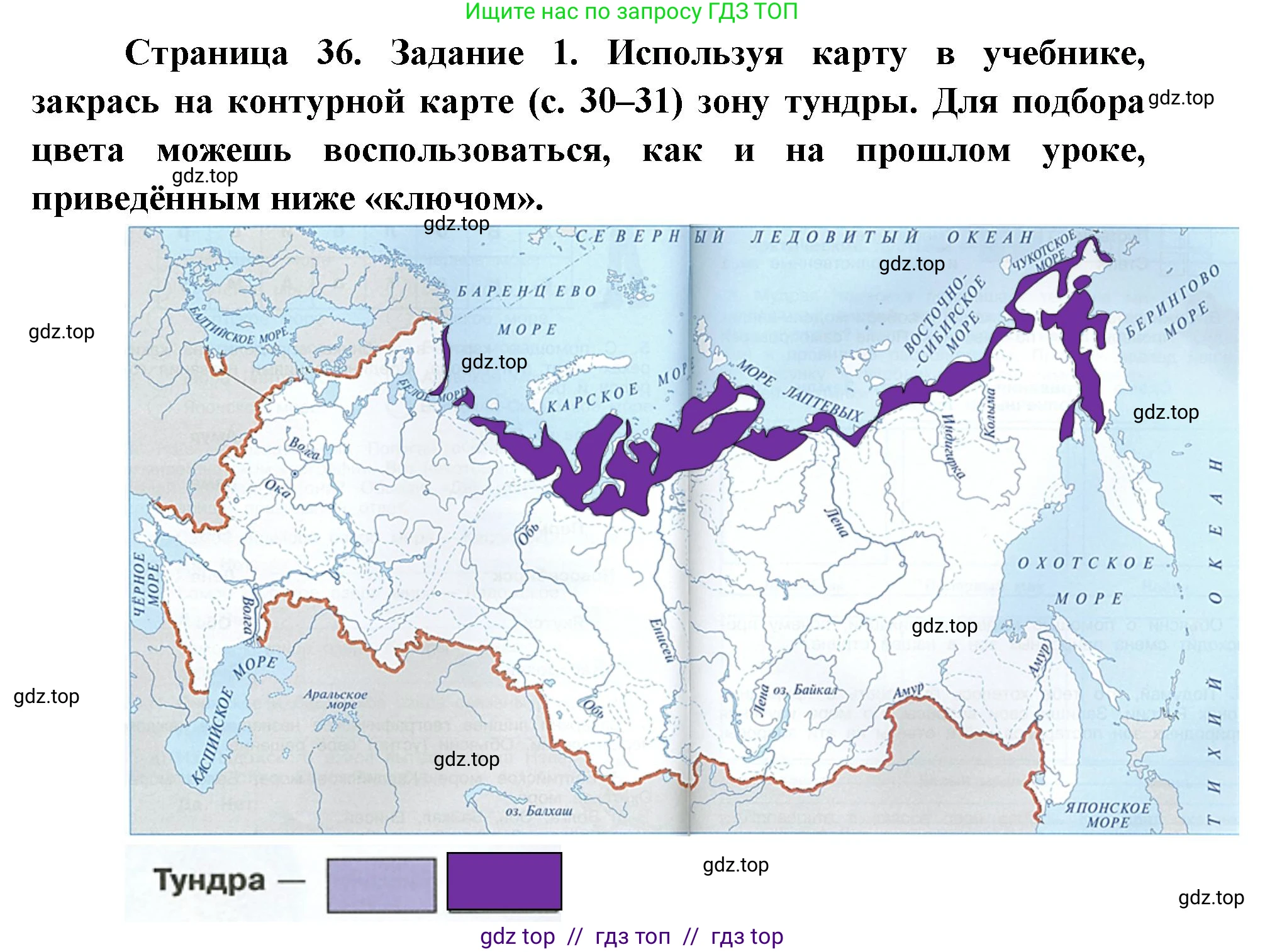 Окружающий мир, 4 класс рабочая тетрадь, авторы: Плешаков Андрей Анатольевич, Крючкова Елена Алексеевна, издательство Просвещение, Москва, 2023, белого цвета, Часть 1, страница 36, номер 1, Решение 2