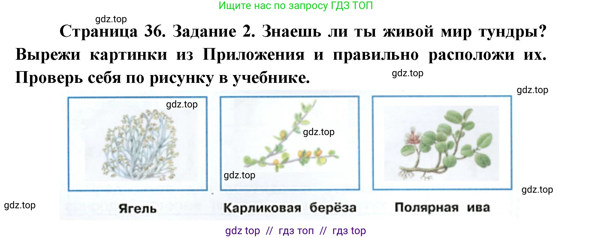 Окружающий мир, 4 класс рабочая тетрадь, авторы: Плешаков Андрей Анатольевич, Крючкова Елена Алексеевна, издательство Просвещение, Москва, 2023, белого цвета, Часть 1, страница 36, номер 2, Решение 2