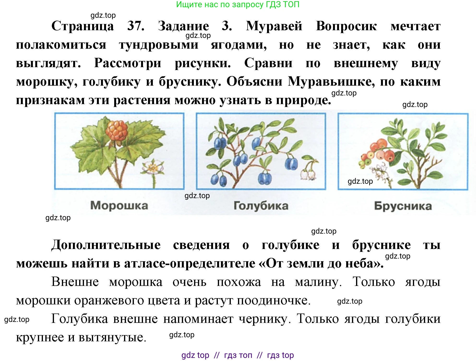 Окружающий мир, 4 класс рабочая тетрадь, авторы: Плешаков Андрей Анатольевич, Крючкова Елена Алексеевна, издательство Просвещение, Москва, 2023, белого цвета, Часть 1, страница 37, номер 3, Решение 2