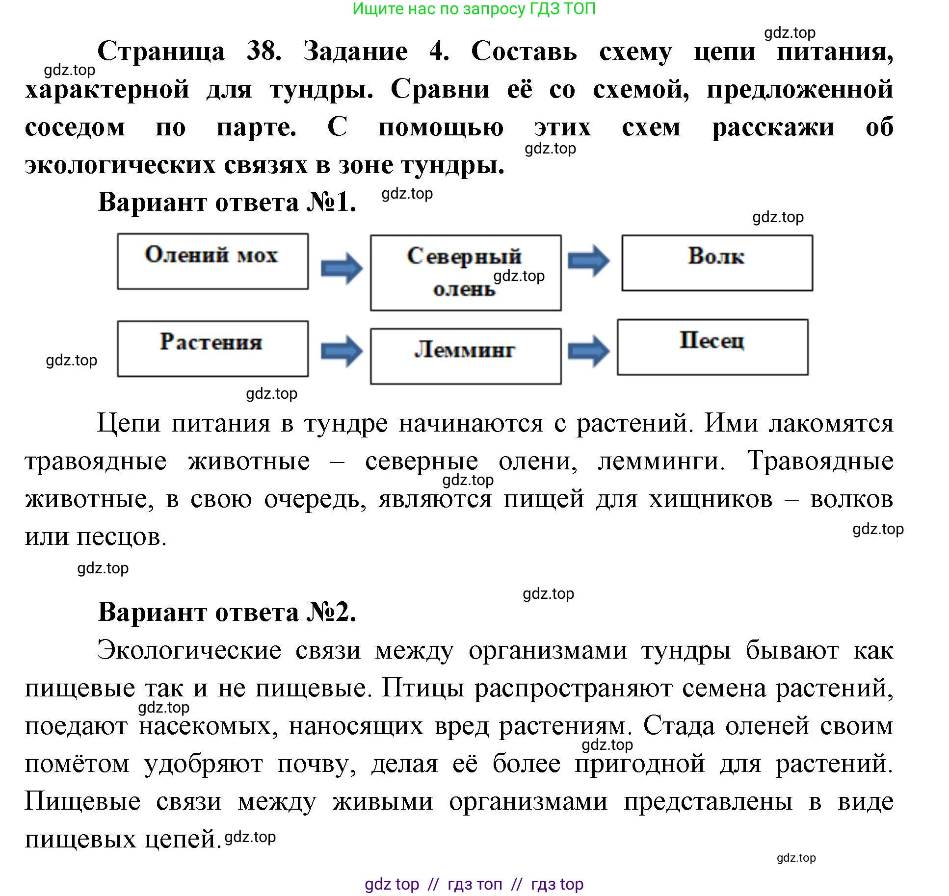 Окружающий мир, 4 класс рабочая тетрадь, авторы: Плешаков Андрей Анатольевич, Крючкова Елена Алексеевна, издательство Просвещение, Москва, 2023, белого цвета, Часть 1, страница 38, номер 4, Решение 2