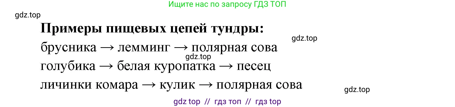 Окружающий мир, 4 класс рабочая тетрадь, авторы: Плешаков Андрей Анатольевич, Крючкова Елена Алексеевна, издательство Просвещение, Москва, 2023, белого цвета, Часть 1, страница 38, номер 4, Решение 2 (продолжение 2)