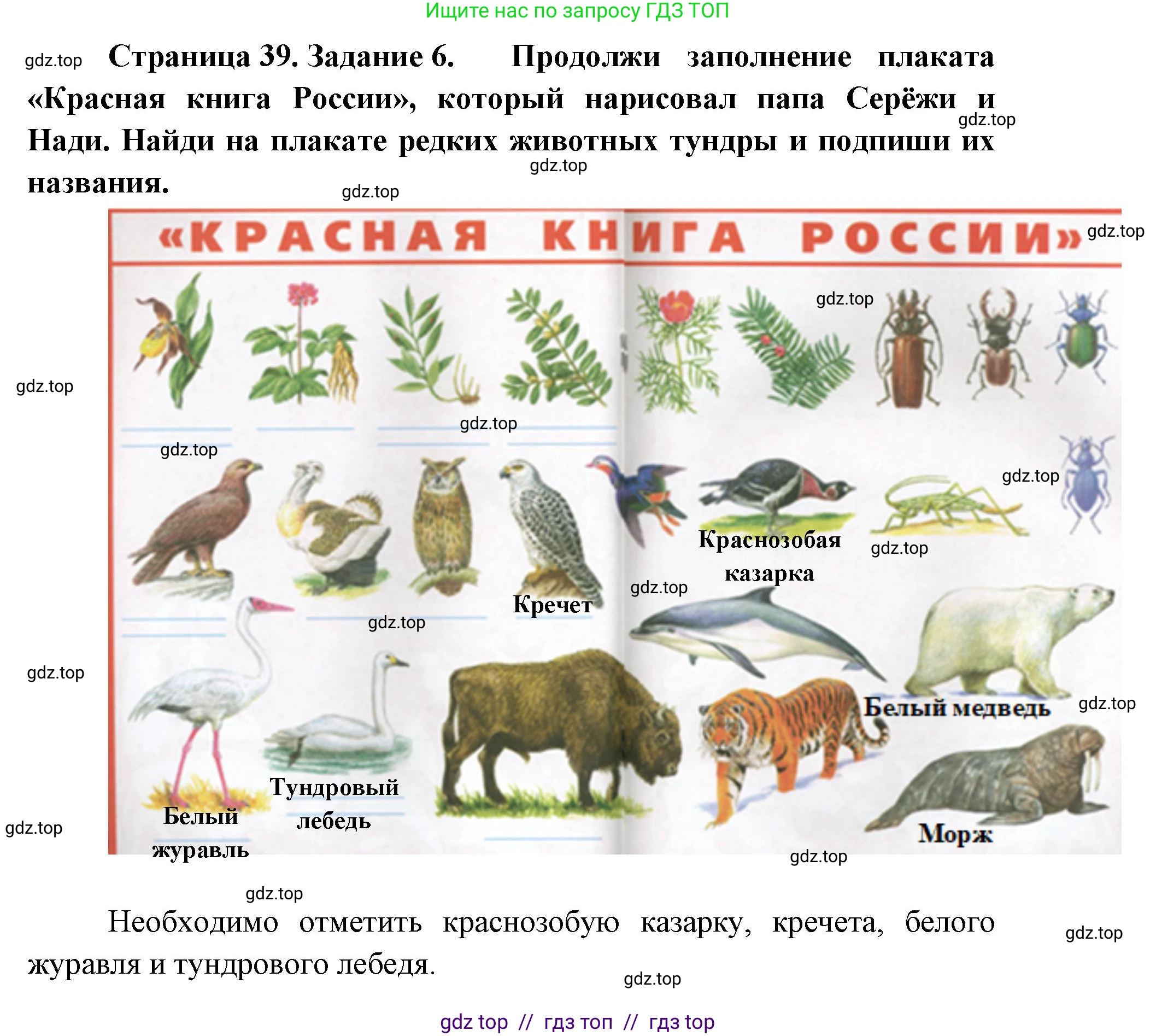 Окружающий мир, 4 класс рабочая тетрадь, авторы: Плешаков Андрей Анатольевич, Крючкова Елена Алексеевна, издательство Просвещение, Москва, 2023, белого цвета, Часть 1, страница 39, номер 6, Решение 2