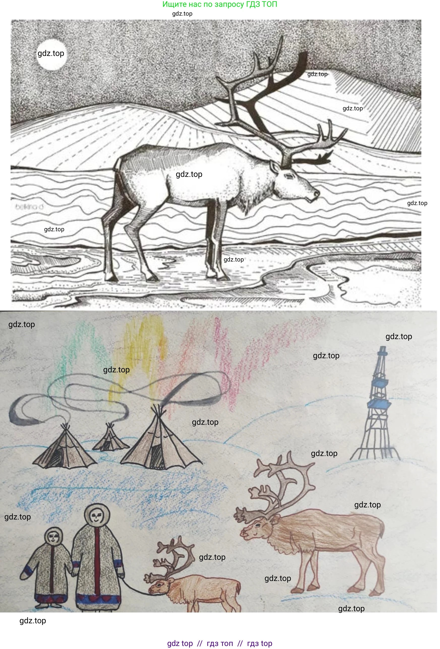 Окружающий мир, 4 класс рабочая тетрадь, авторы: Плешаков Андрей Анатольевич, Крючкова Елена Алексеевна, издательство Просвещение, Москва, 2023, белого цвета, Часть 1, страница 39, номер 7, Решение 2 (продолжение 3)