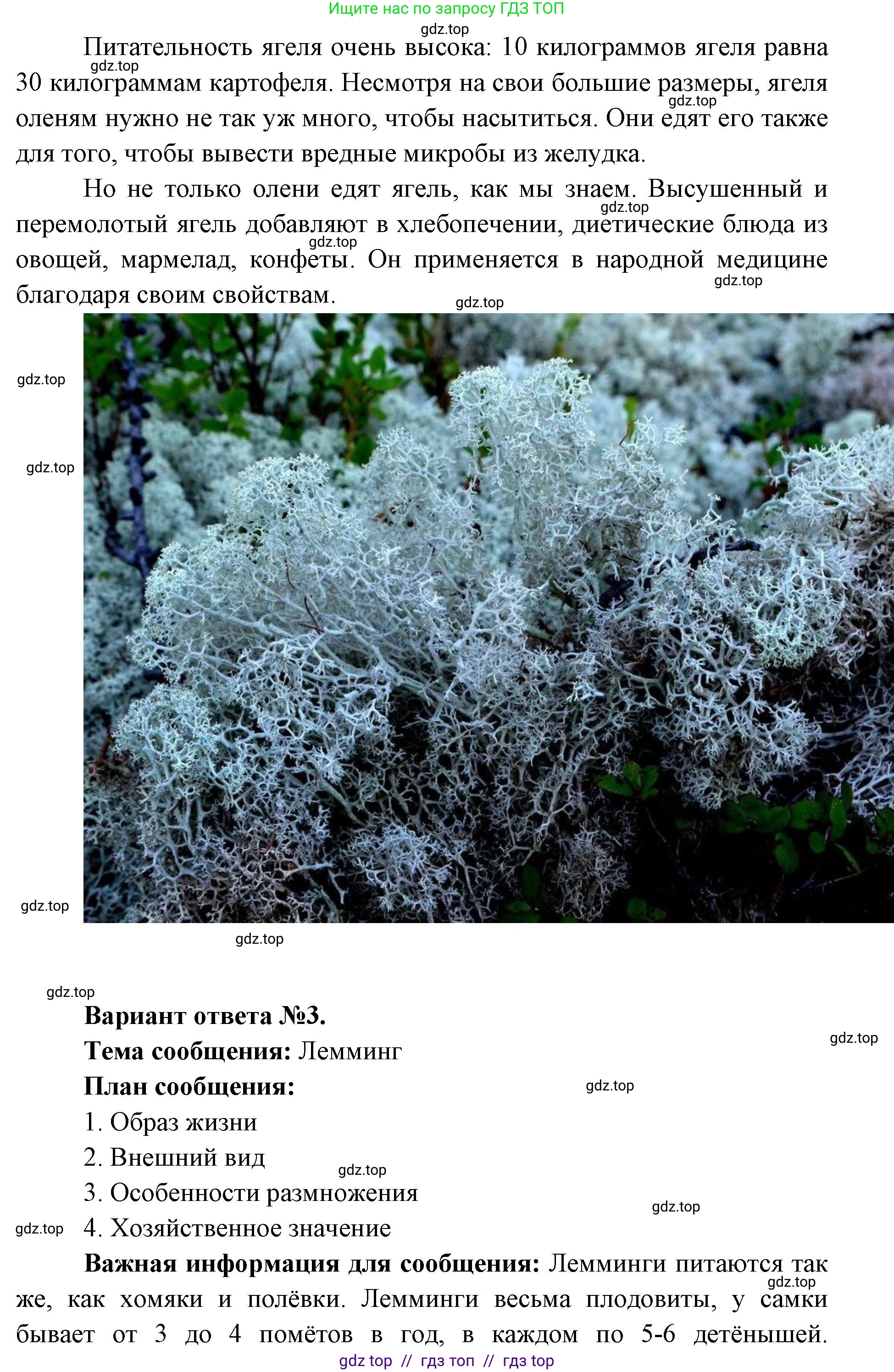 Окружающий мир, 4 класс рабочая тетрадь, авторы: Плешаков Андрей Анатольевич, Крючкова Елена Алексеевна, издательство Просвещение, Москва, 2023, белого цвета, Часть 1, страница 40, номер 8, Решение 2 (продолжение 4)