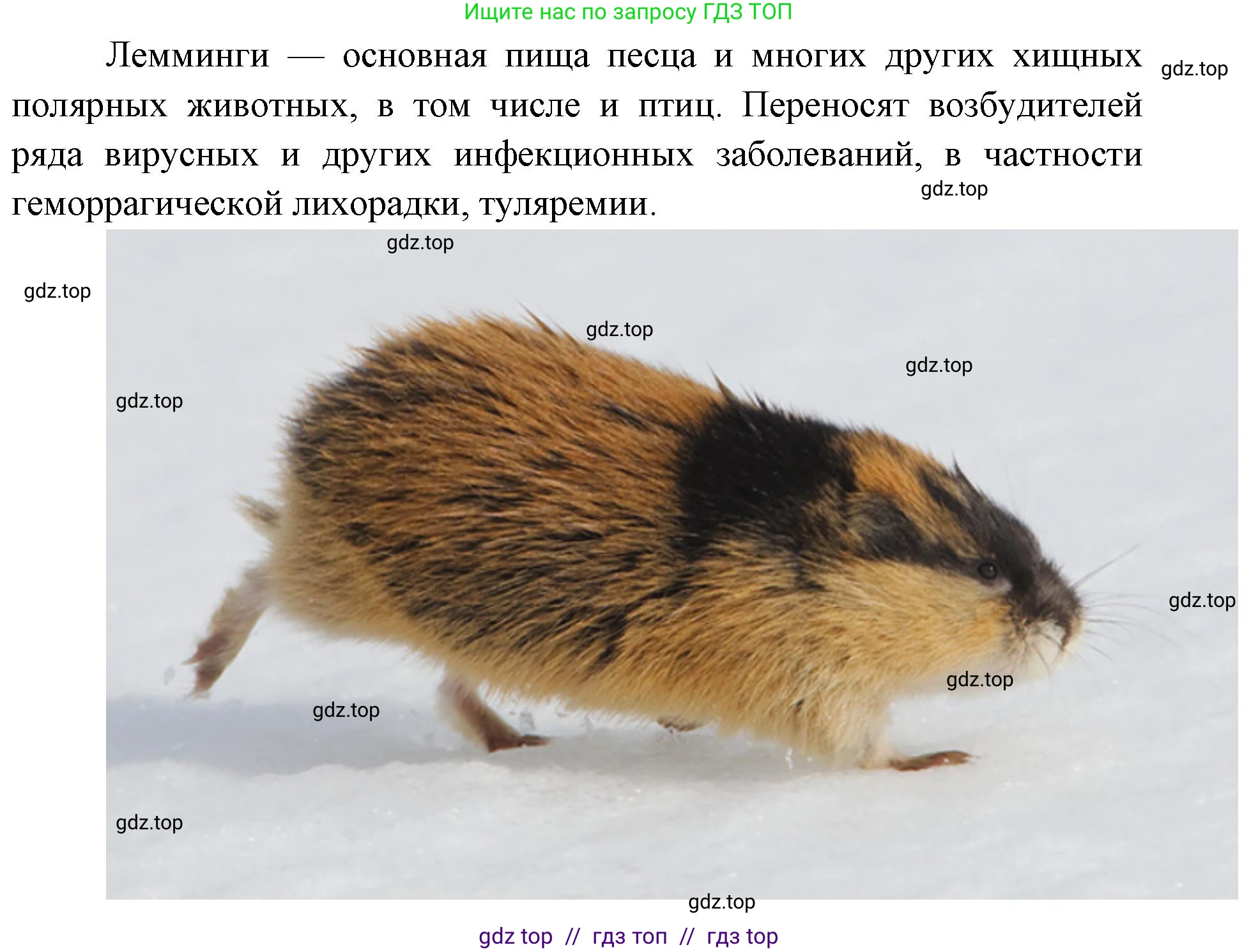 Окружающий мир, 4 класс рабочая тетрадь, авторы: Плешаков Андрей Анатольевич, Крючкова Елена Алексеевна, издательство Просвещение, Москва, 2023, белого цвета, Часть 1, страница 40, номер 8, Решение 2 (продолжение 6)