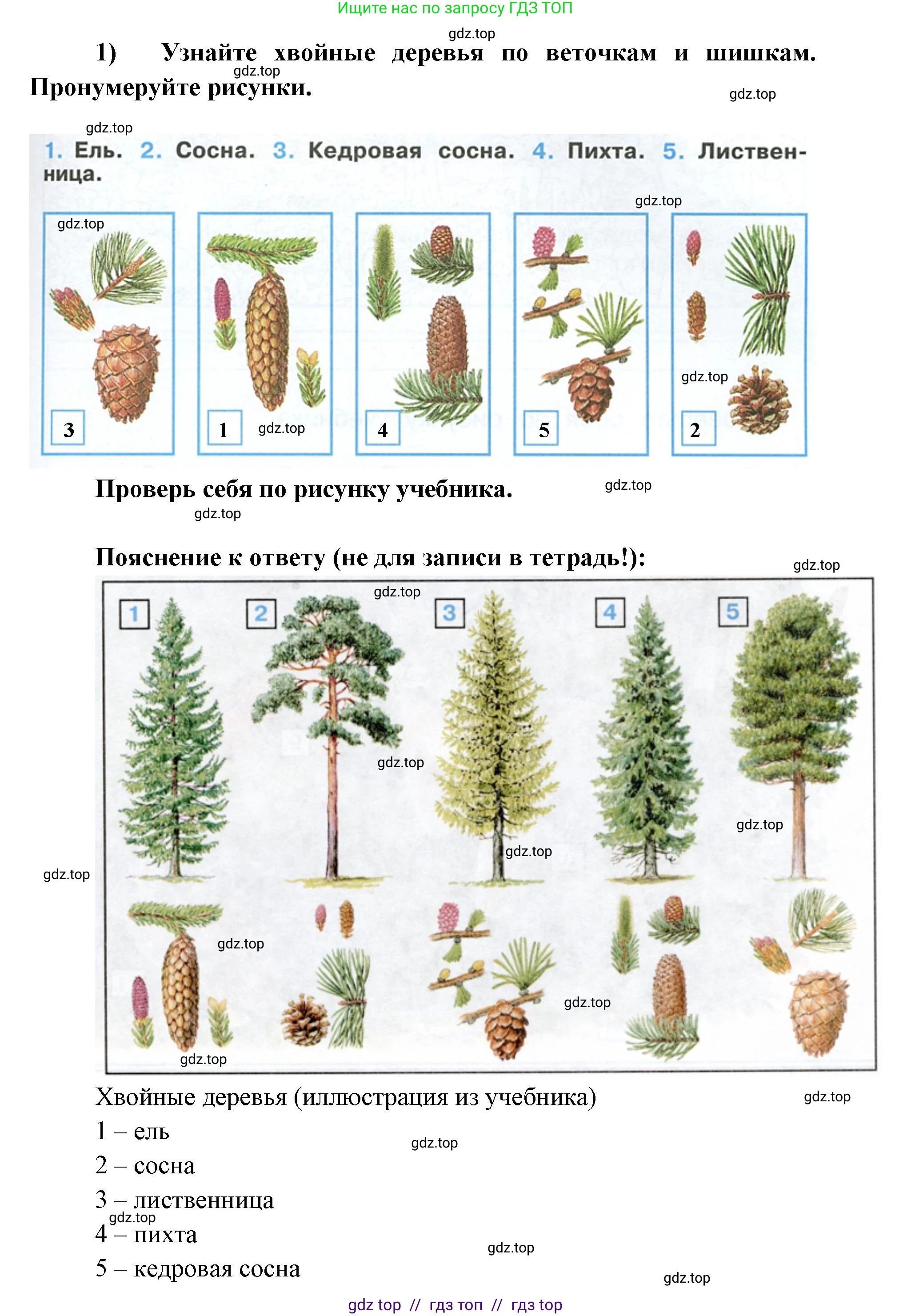 Окружающий мир, 4 класс рабочая тетрадь, авторы: Плешаков Андрей Анатольевич, Крючкова Елена Алексеевна, издательство Просвещение, Москва, 2023, белого цвета, Часть 1, страница 41, номер 2, Решение 2 (продолжение 2)