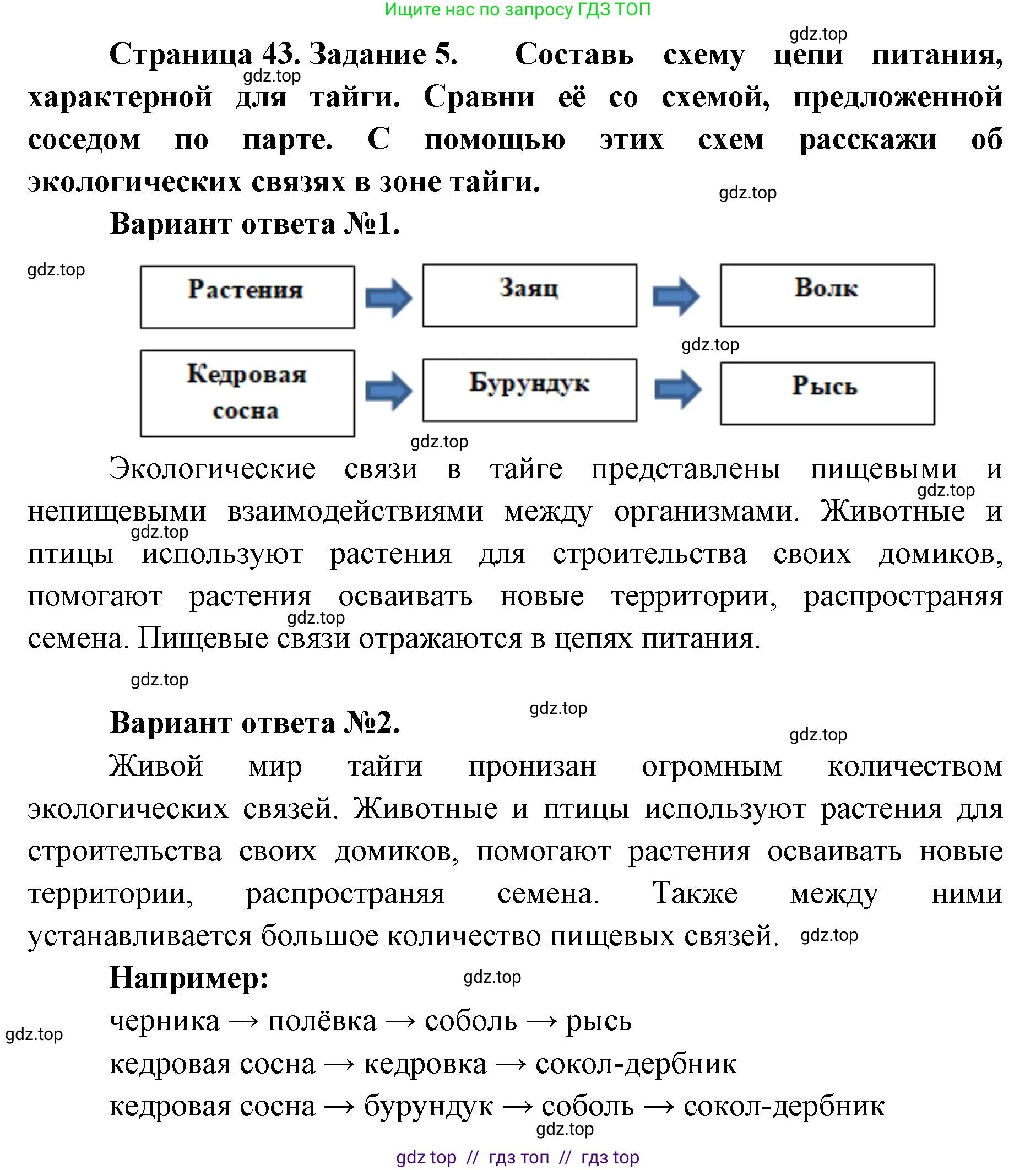 Окружающий мир, 4 класс рабочая тетрадь, авторы: Плешаков Андрей Анатольевич, Крючкова Елена Алексеевна, издательство Просвещение, Москва, 2023, белого цвета, Часть 1, страница 43, номер 5, Решение 2