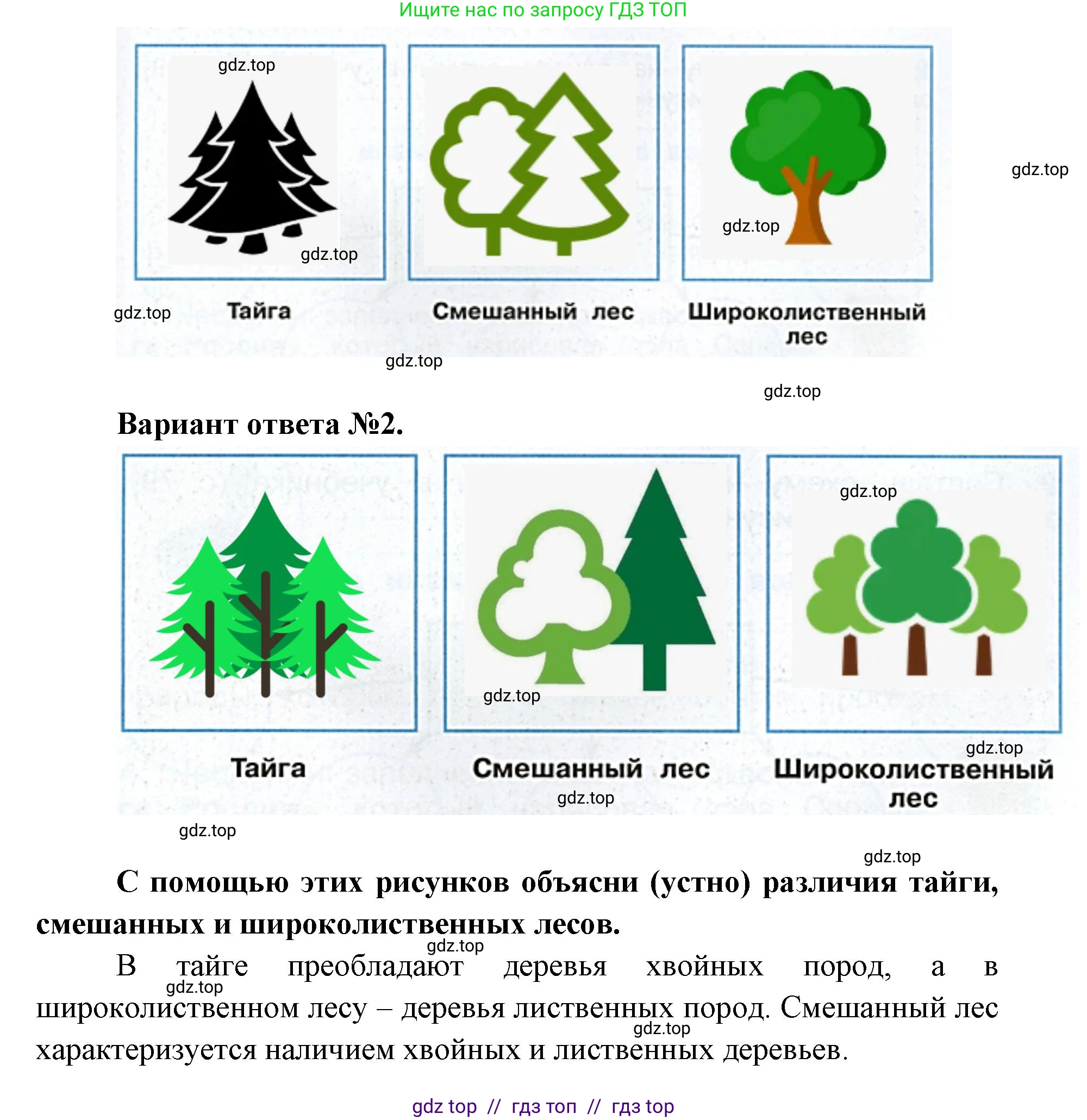 Окружающий мир, 4 класс рабочая тетрадь, авторы: Плешаков Андрей Анатольевич, Крючкова Елена Алексеевна, издательство Просвещение, Москва, 2023, белого цвета, Часть 1, страница 43, номер 6, Решение 2 (продолжение 2)