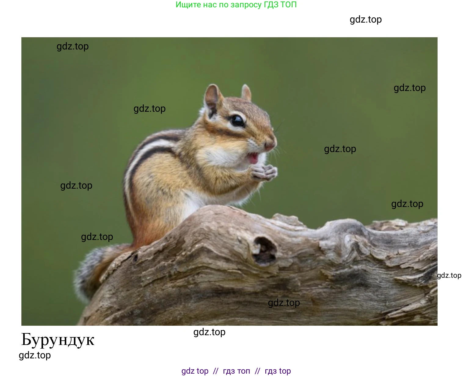 Окружающий мир, 4 класс рабочая тетрадь, авторы: Плешаков Андрей Анатольевич, Крючкова Елена Алексеевна, издательство Просвещение, Москва, 2023, белого цвета, Часть 1, страница 44, номер 7, Решение 2 (продолжение 5)