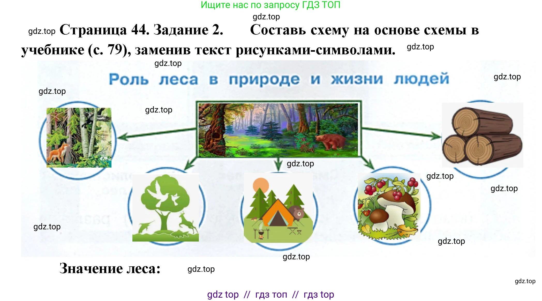 Окружающий мир, 4 класс рабочая тетрадь, авторы: Плешаков Андрей Анатольевич, Крючкова Елена Алексеевна, издательство Просвещение, Москва, 2023, белого цвета, Часть 1, страница 44, номер 2, Решение 2