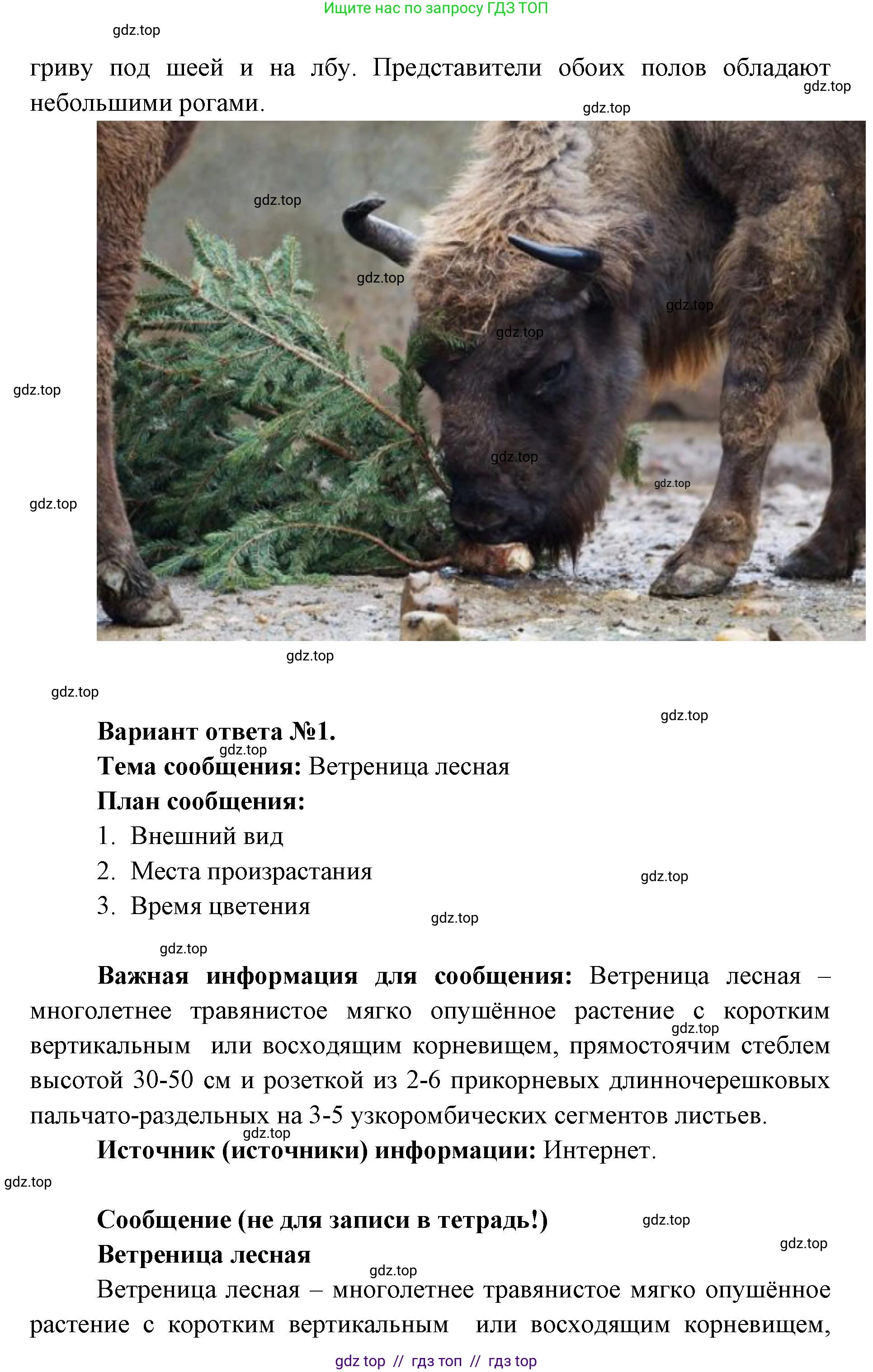 Окружающий мир, 4 класс рабочая тетрадь, авторы: Плешаков Андрей Анатольевич, Крючкова Елена Алексеевна, издательство Просвещение, Москва, 2023, белого цвета, Часть 1, страница 46, номер 6, Решение 2 (продолжение 3)