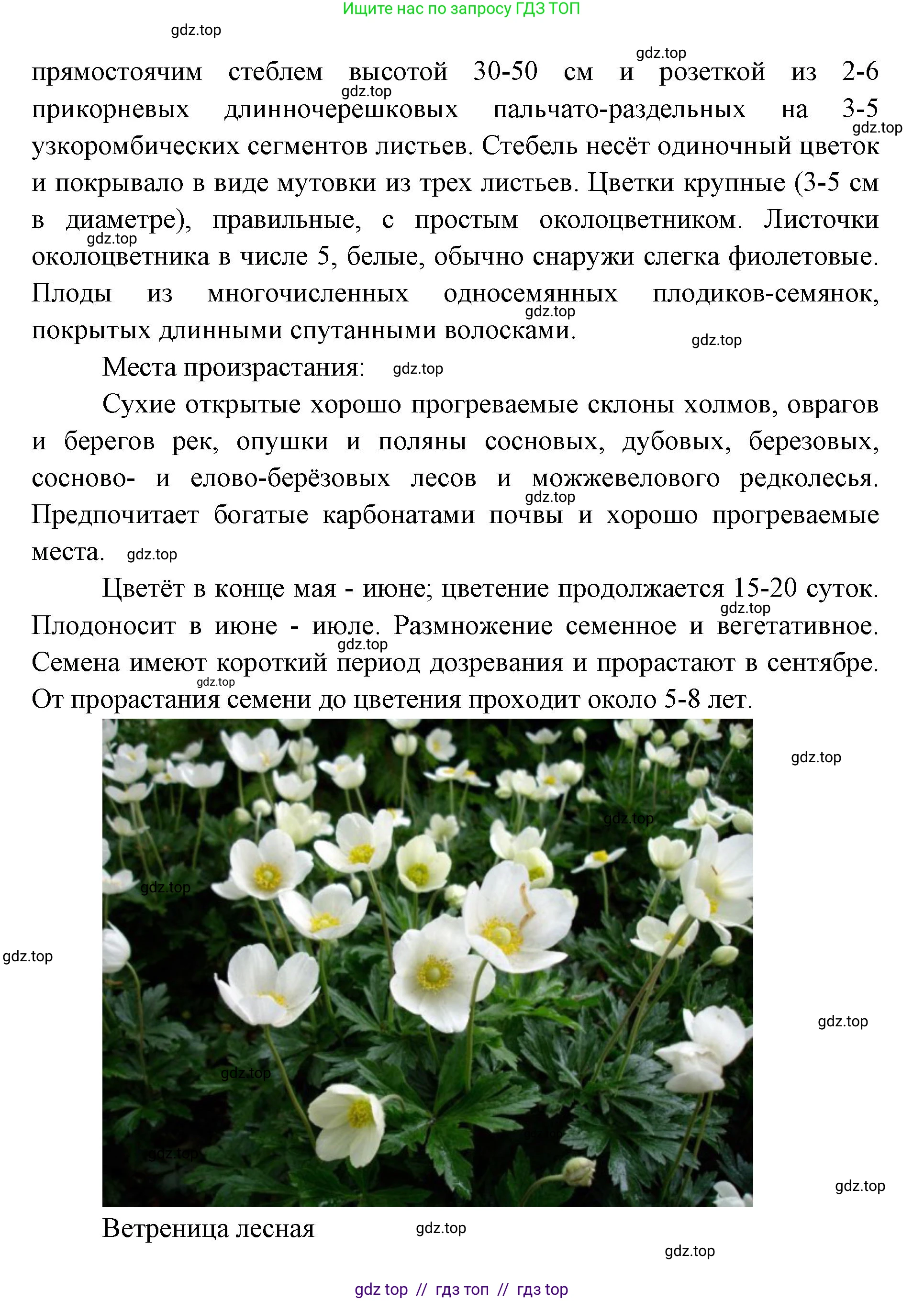 Окружающий мир, 4 класс рабочая тетрадь, авторы: Плешаков Андрей Анатольевич, Крючкова Елена Алексеевна, издательство Просвещение, Москва, 2023, белого цвета, Часть 1, страница 46, номер 6, Решение 2 (продолжение 4)