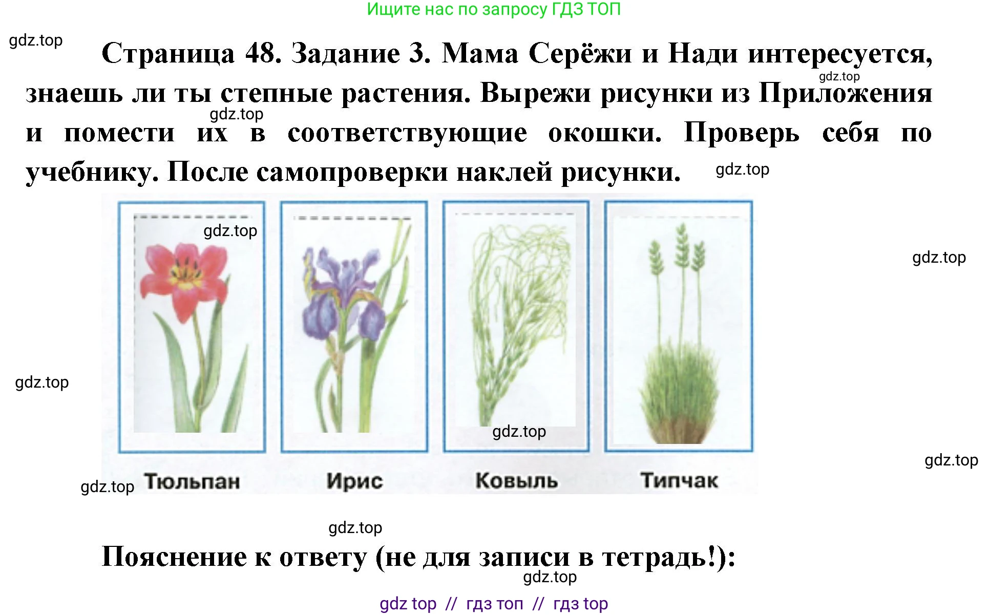 Окружающий мир, 4 класс рабочая тетрадь, авторы: Плешаков Андрей Анатольевич, Крючкова Елена Алексеевна, издательство Просвещение, Москва, 2023, белого цвета, Часть 1, страница 48, номер 3, Решение 2