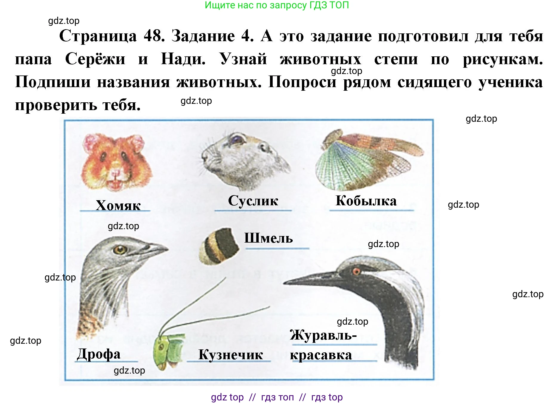 Окружающий мир, 4 класс рабочая тетрадь, авторы: Плешаков Андрей Анатольевич, Крючкова Елена Алексеевна, издательство Просвещение, Москва, 2023, белого цвета, Часть 1, страница 48, номер 4, Решение 2