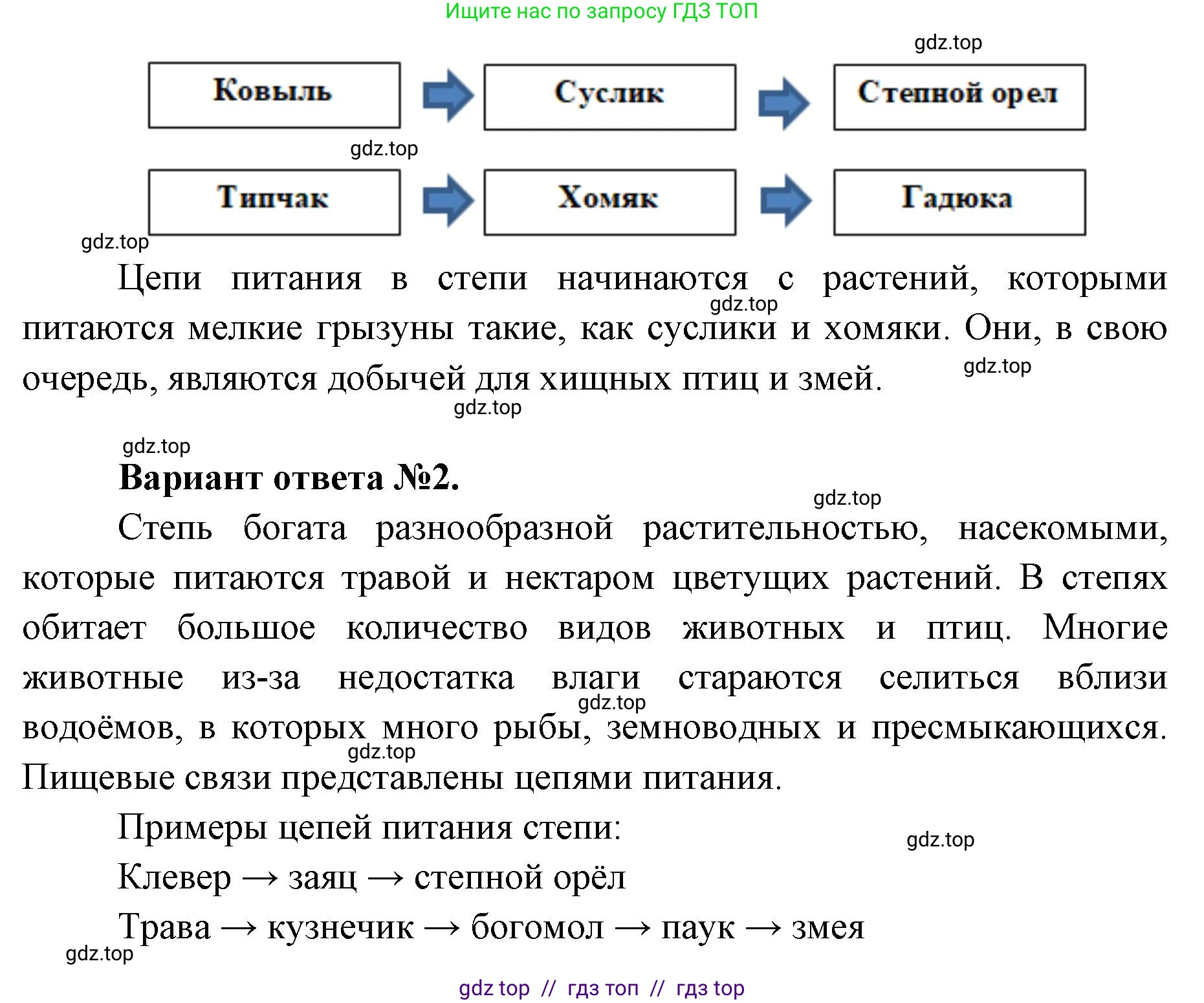 Окружающий мир, 4 класс рабочая тетрадь, авторы: Плешаков Андрей Анатольевич, Крючкова Елена Алексеевна, издательство Просвещение, Москва, 2023, белого цвета, Часть 1, страница 49, номер 5, Решение 2 (продолжение 2)